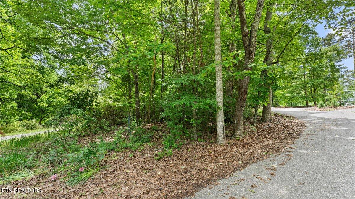 13136 George Lovelace Lane Knoxville TN 37932