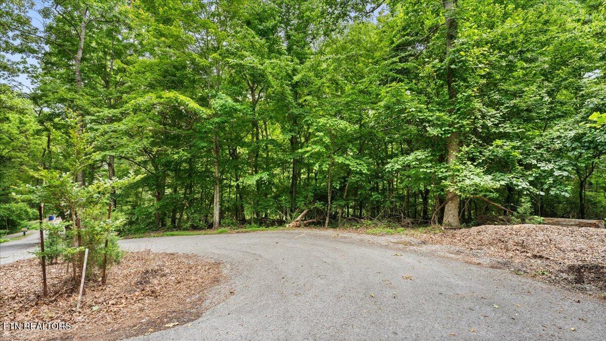 13136 George Lovelace Lane Knoxville TN 37932