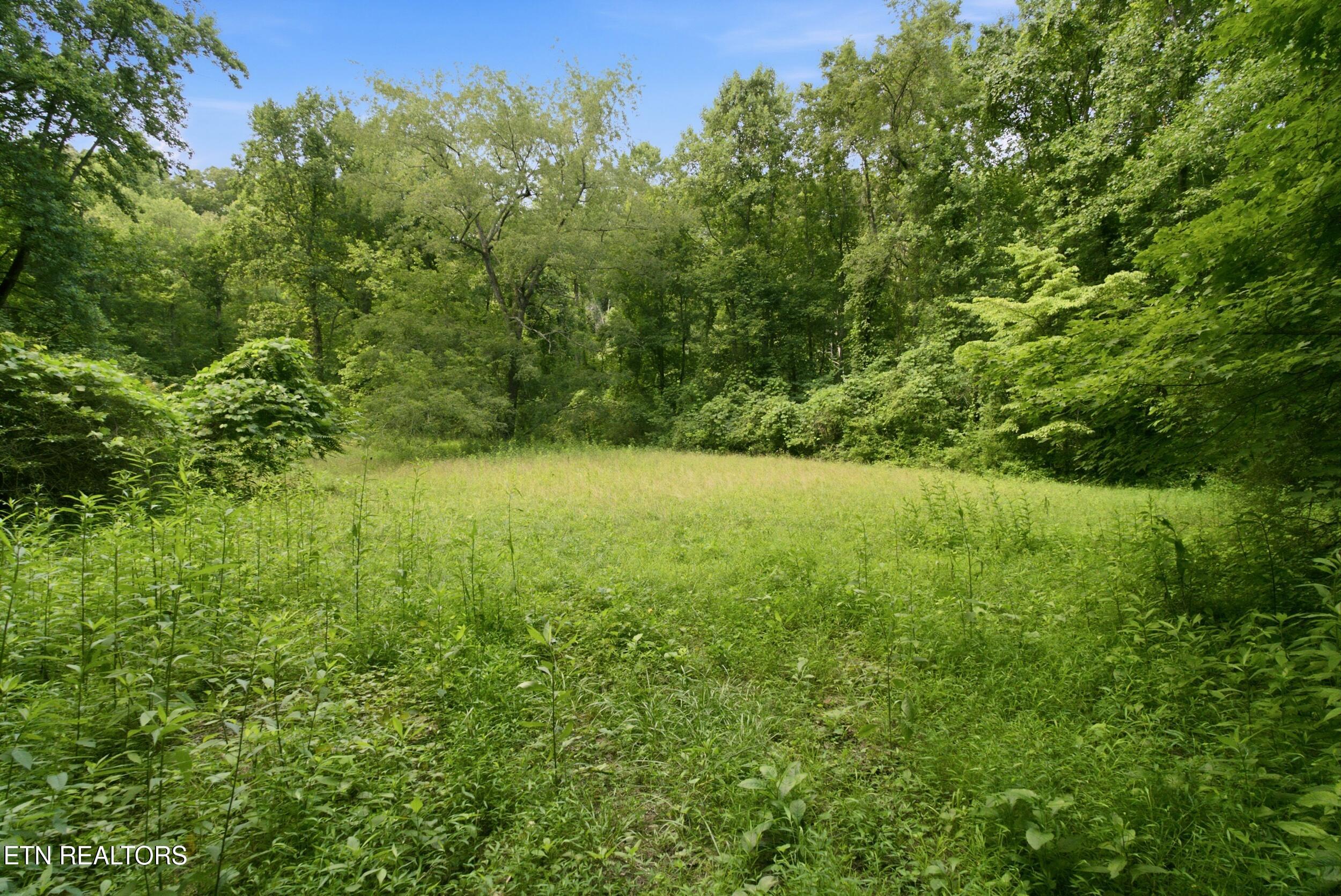 2777 Swanson Lane Knoxville TN 37932