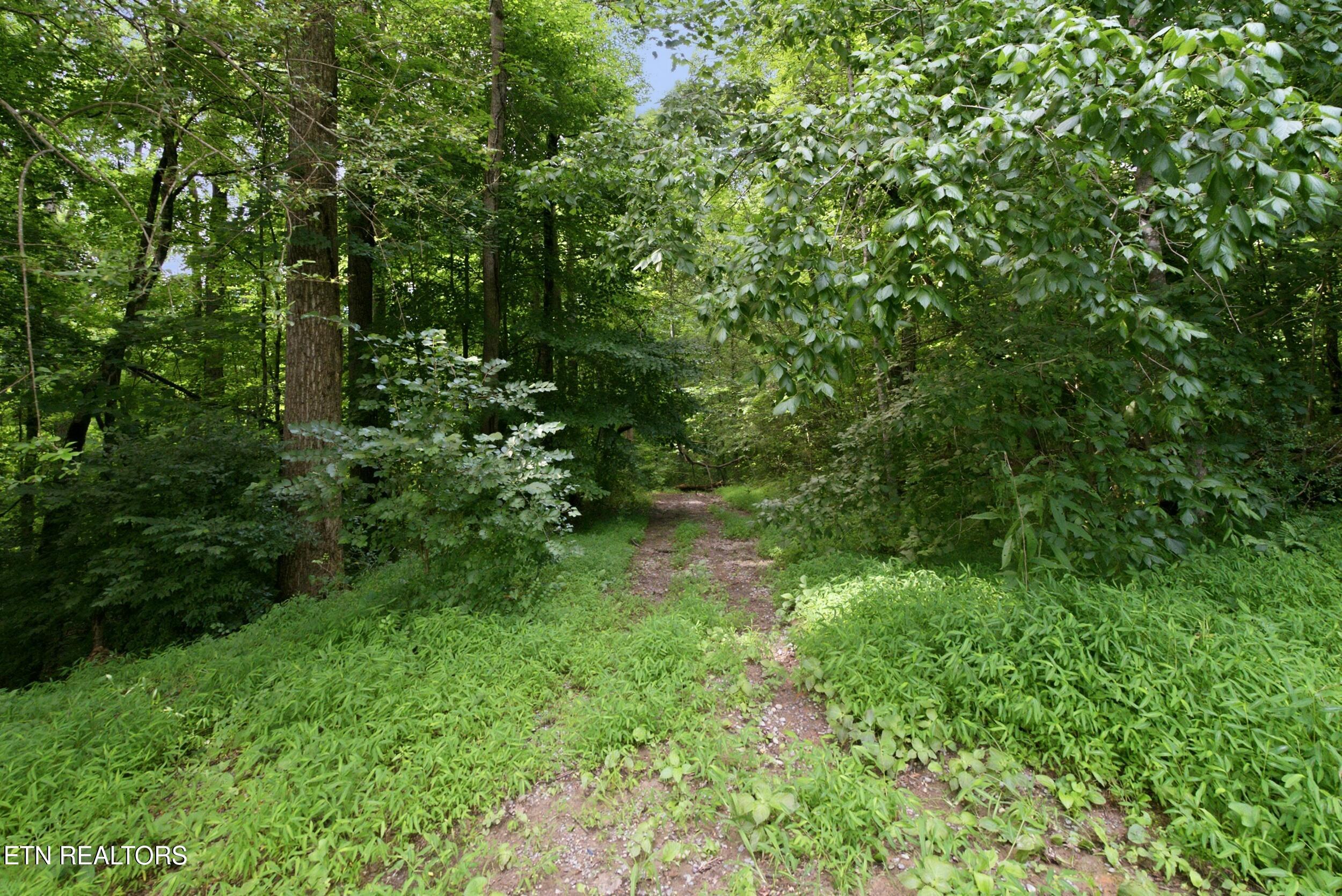 2777 Swanson Lane Knoxville TN 37932