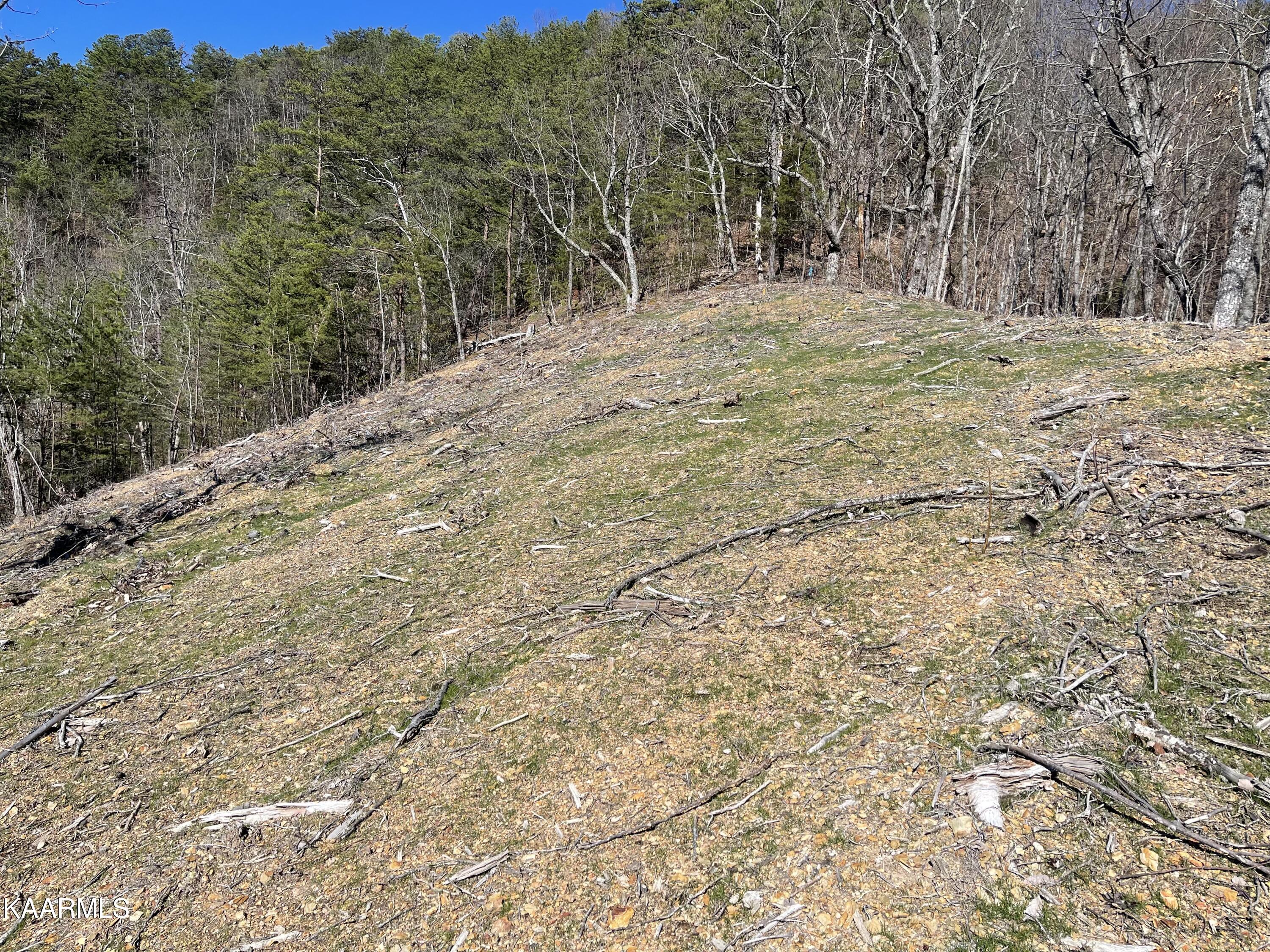 5696 Abrams View Trail Tallassee TN 37878