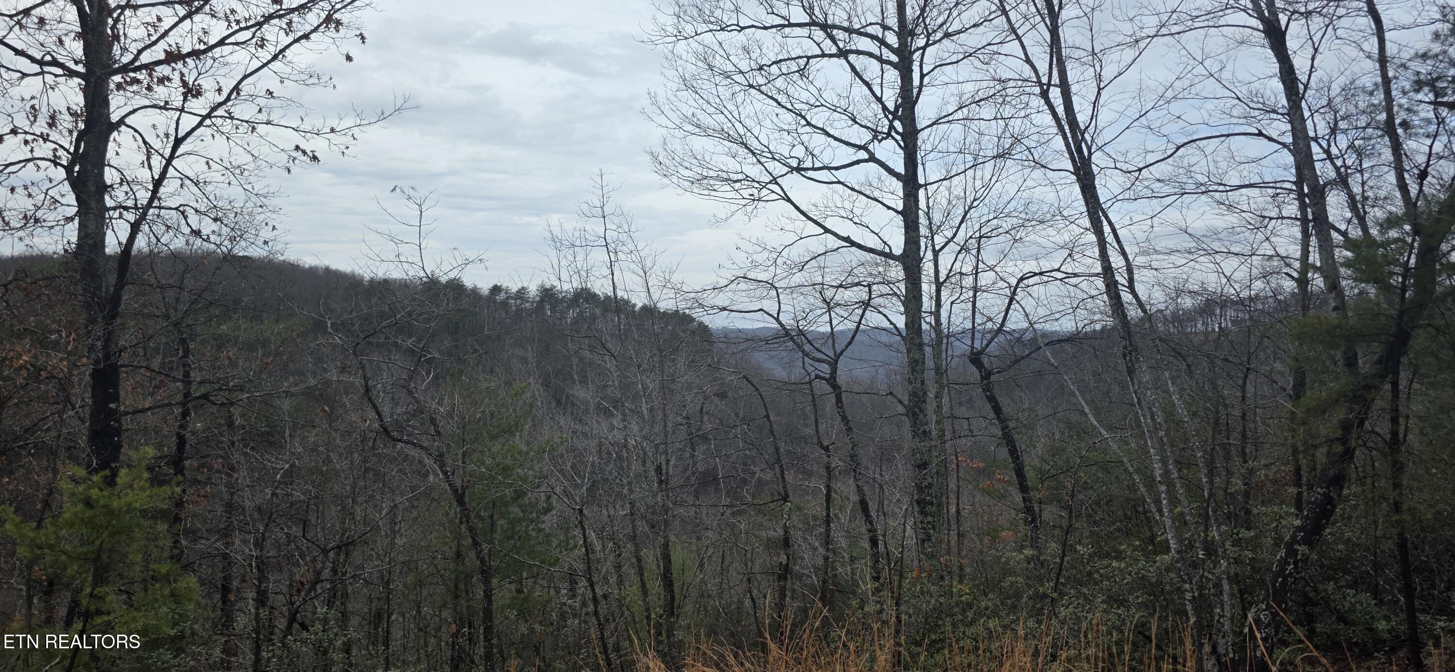 794 Eastridge Pass Monterey TN 38574