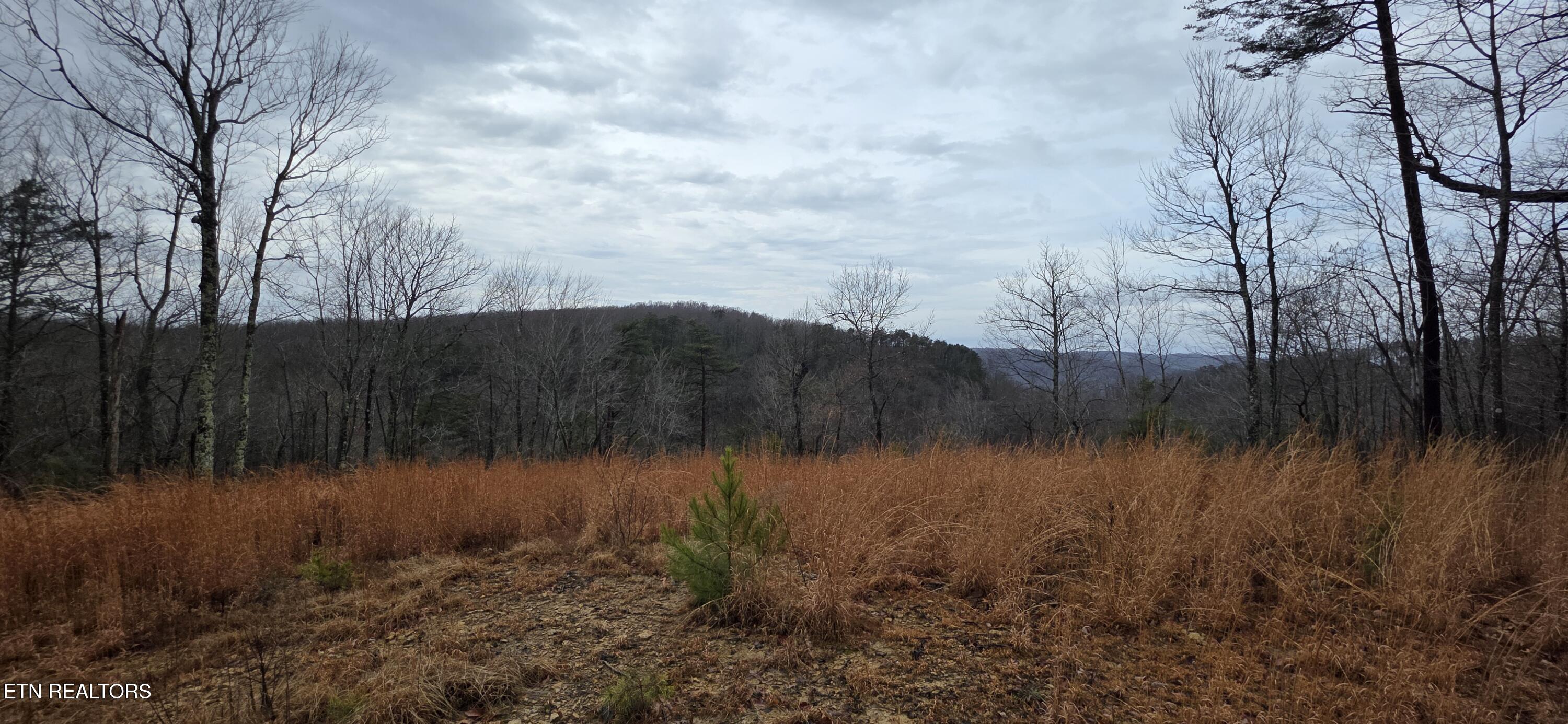 794 Eastridge Pass Monterey TN 38574