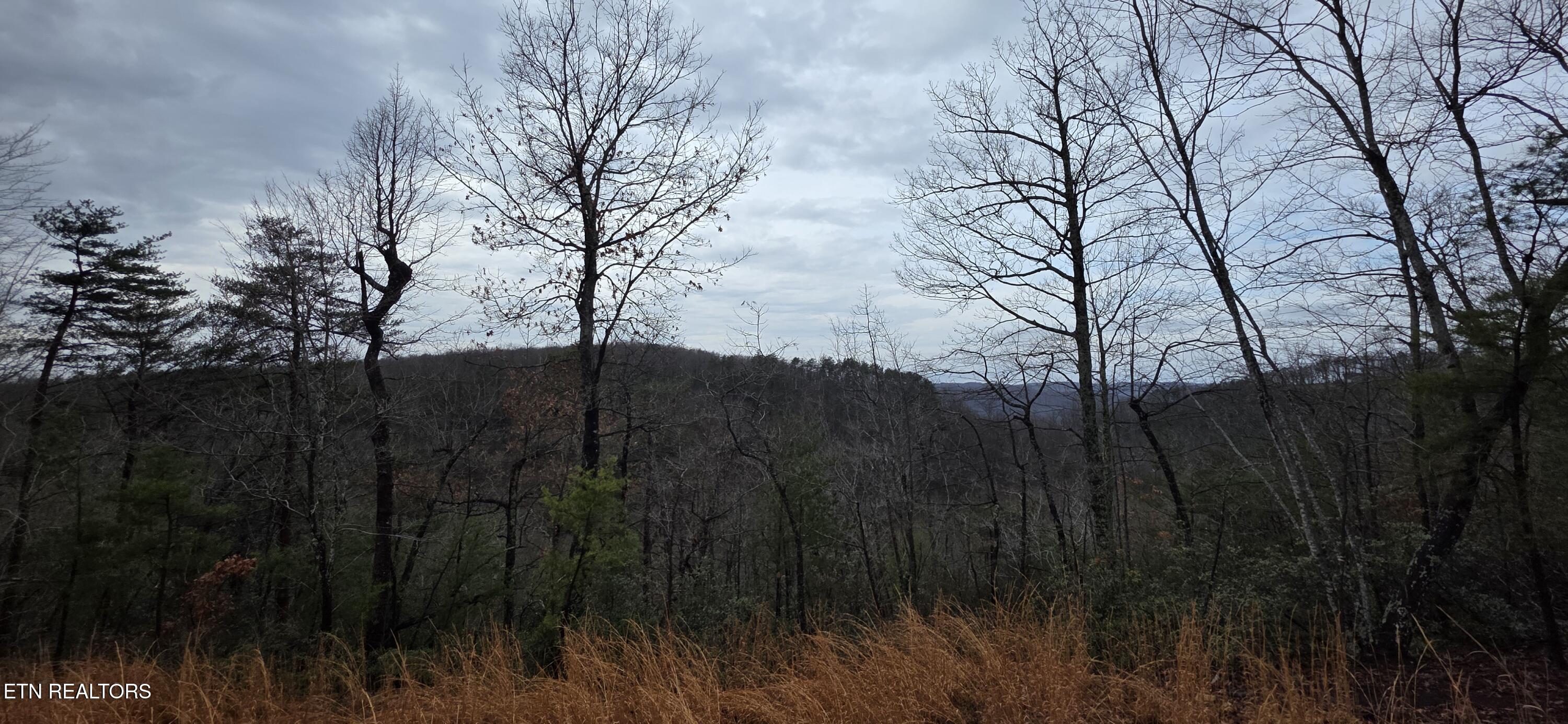 794 Eastridge Pass Monterey TN 38574