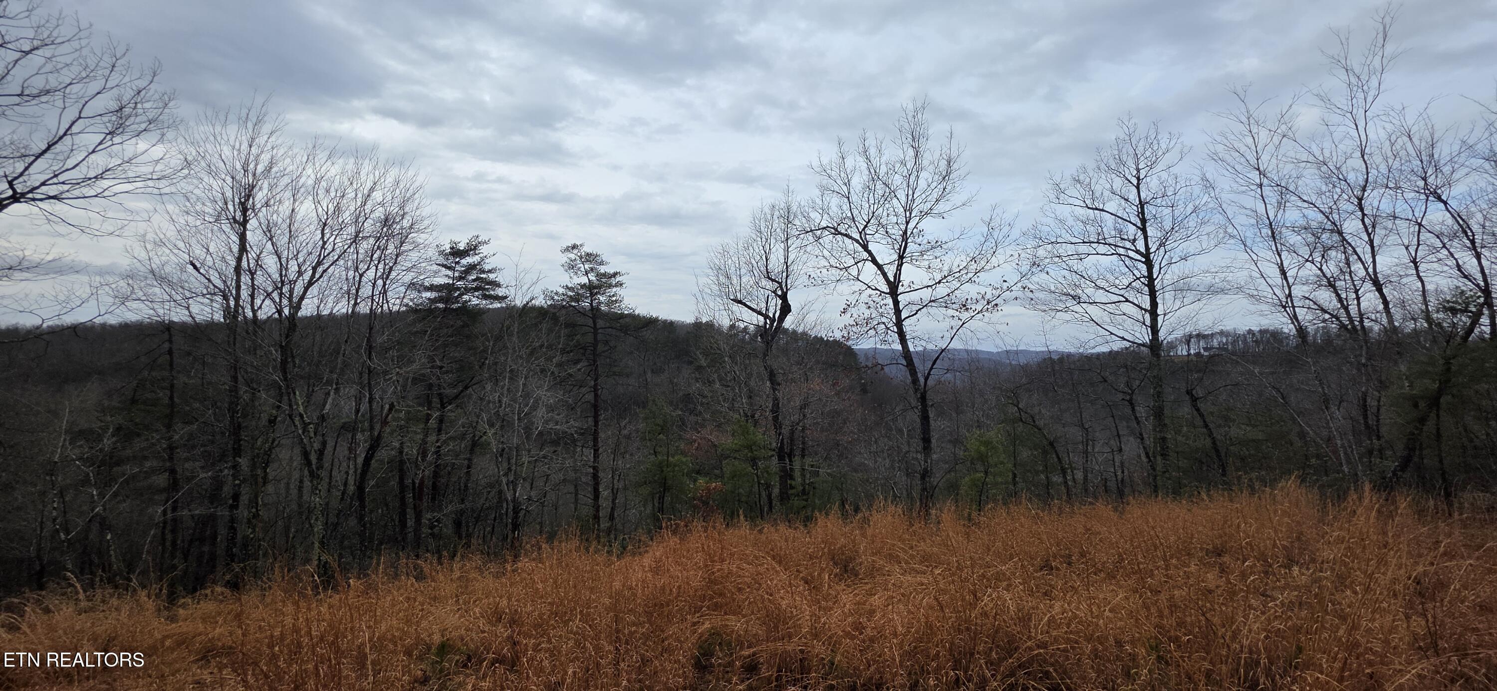 794 Eastridge Pass Monterey TN 38574