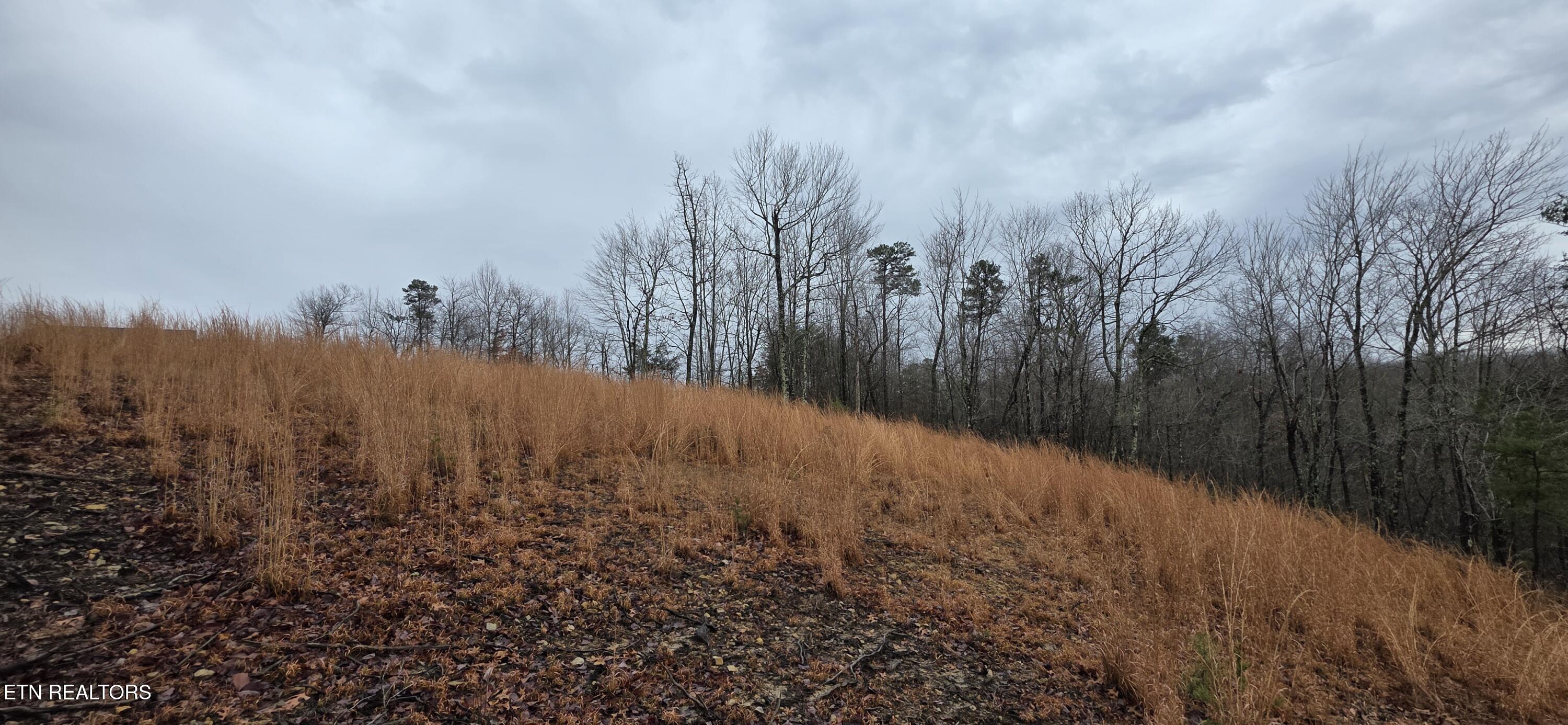 794 Eastridge Pass Monterey TN 38574