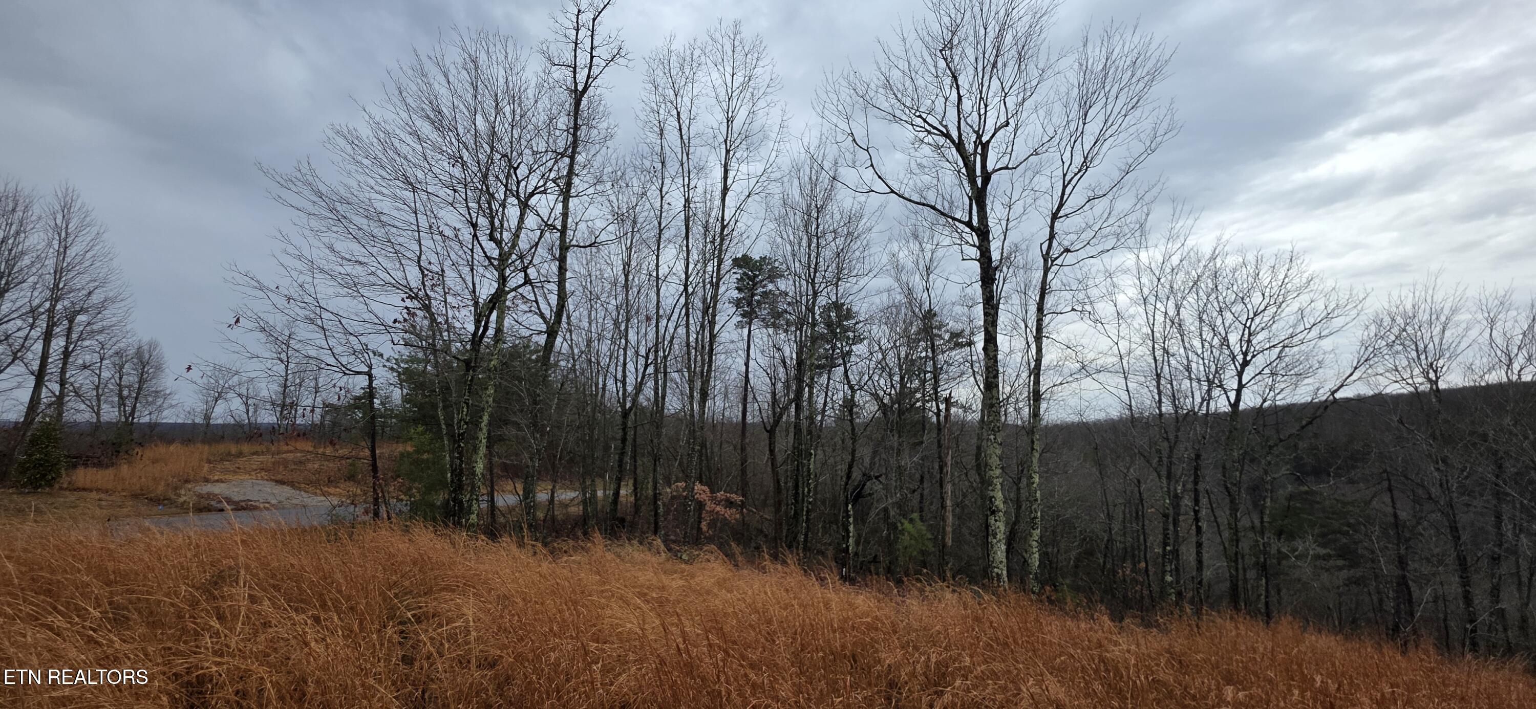 794 Eastridge Pass Monterey TN 38574