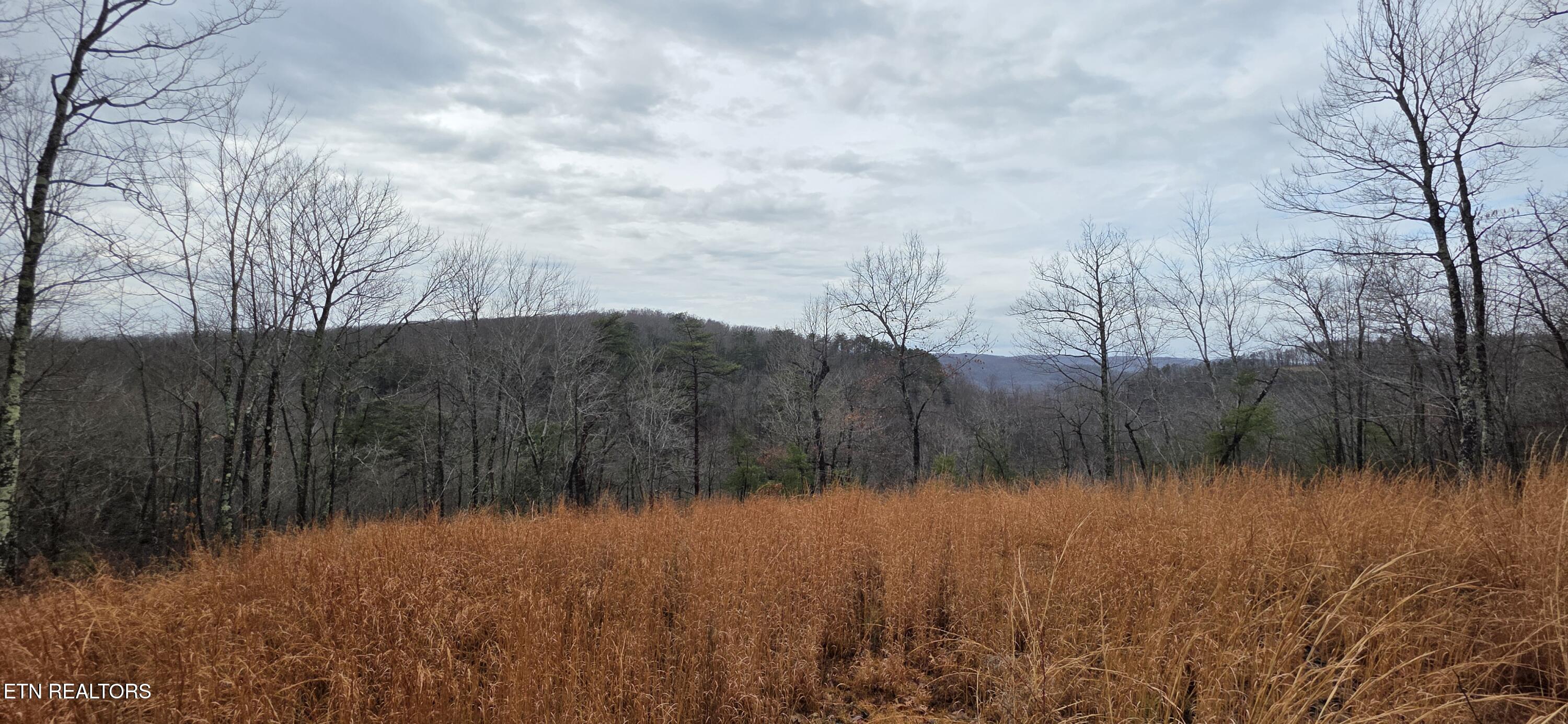 794 Eastridge Pass Monterey TN 38574