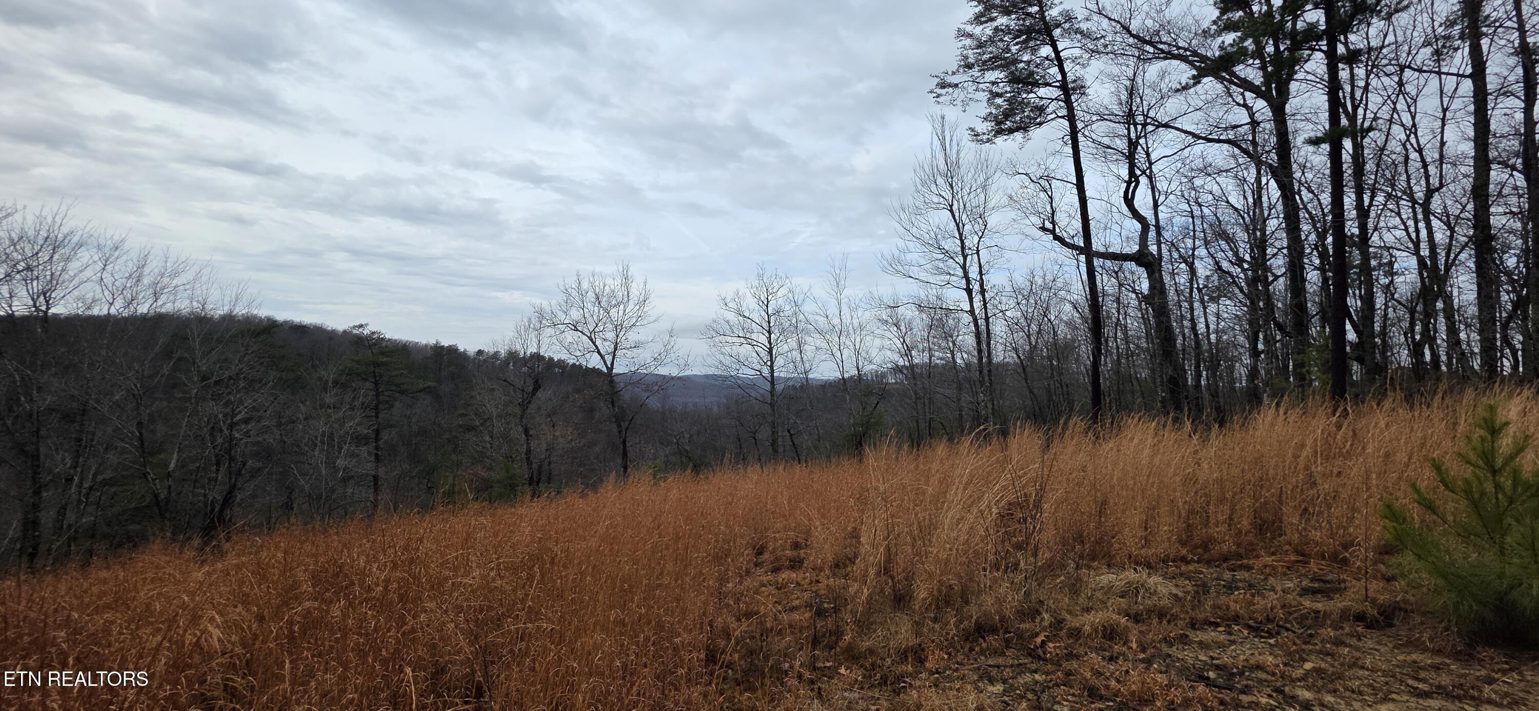 794 Eastridge Pass Monterey TN 38574