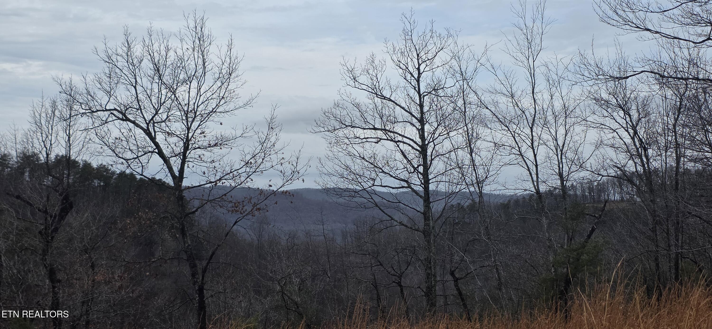 794 Eastridge Pass Monterey TN 38574