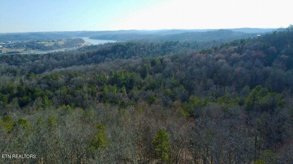 Dogwood Valley Road | Lot 3 Kingston TN 37763