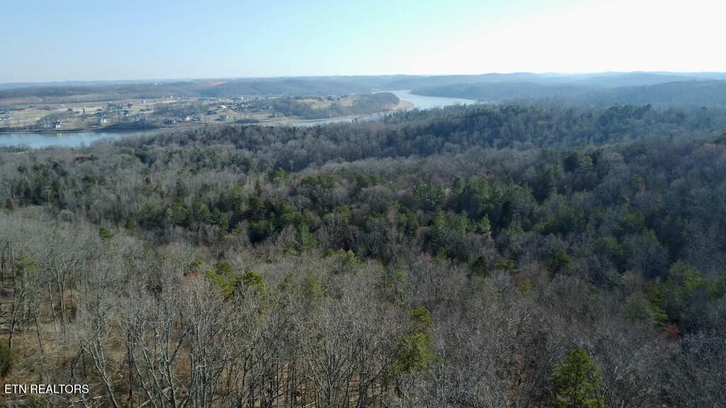 Dogwood Valley Road | Lot 3 Kingston TN 37763