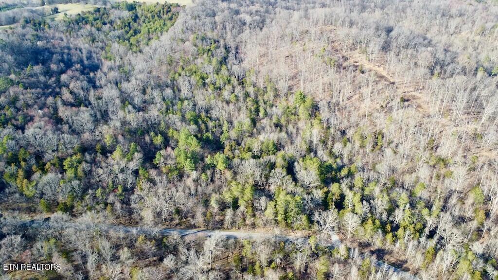 Dogwood Valley Road | Lot 3 Kingston TN 37763