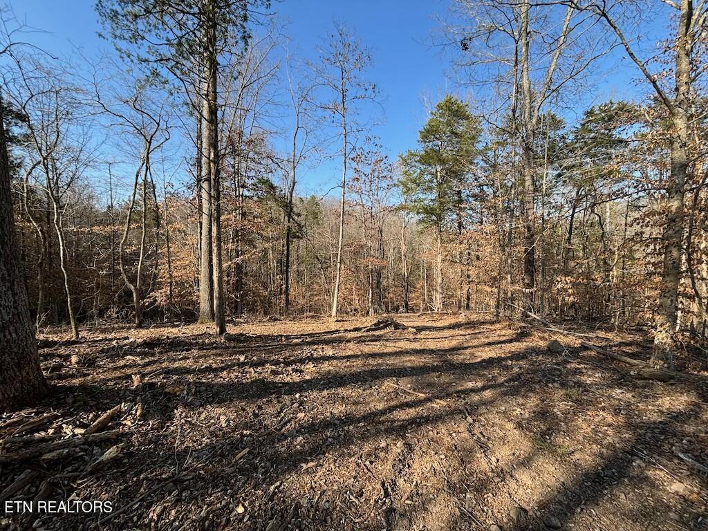 Dogwood Valley Road | Lot 3 Kingston TN 37763
