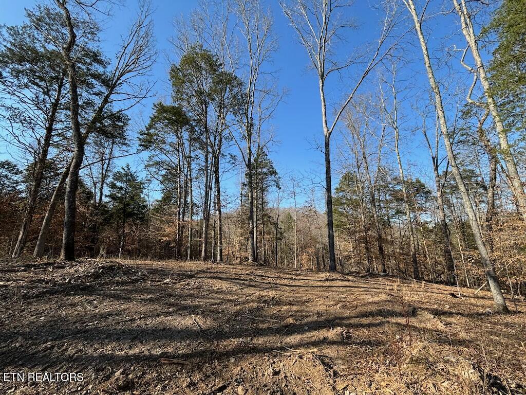 Dogwood Valley Road | Lot 3 Kingston TN 37763