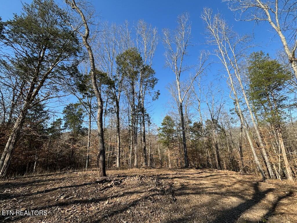 Dogwood Valley Road | Lot 3 Kingston TN 37763