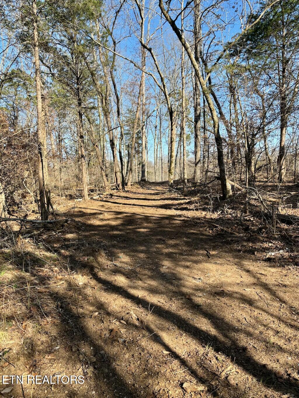 Dogwood Valley Road | Lot 3 Kingston TN 37763