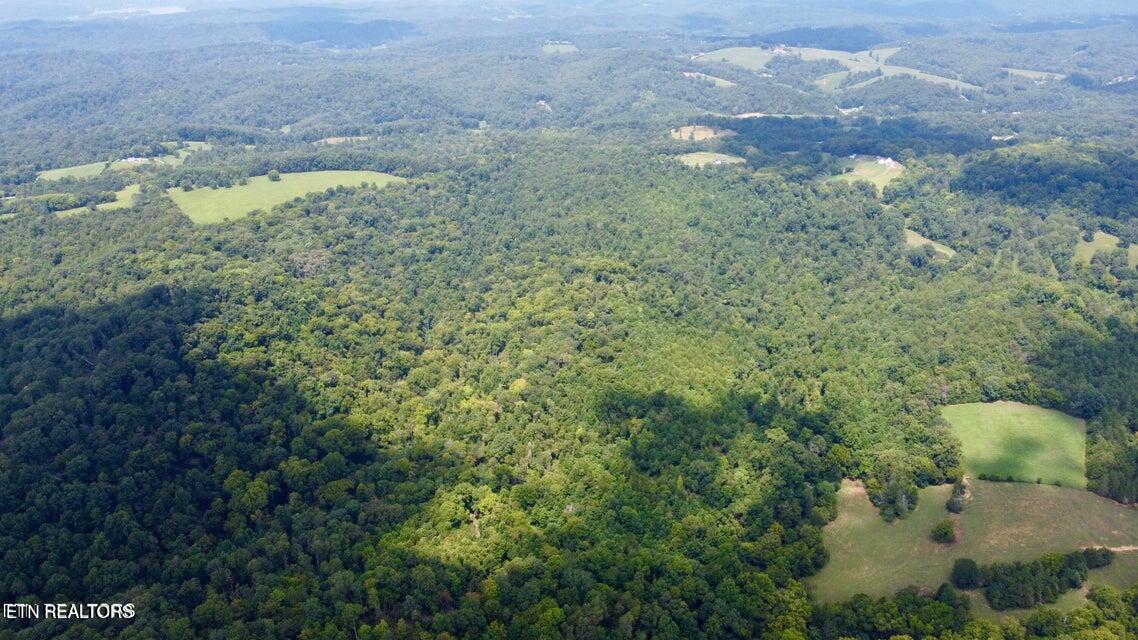 Dogwood Valley Road | Lot 3 Kingston TN 37763