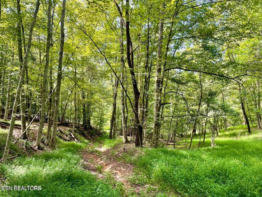 Dogwood Valley Road | Lot 3 Kingston TN 37763