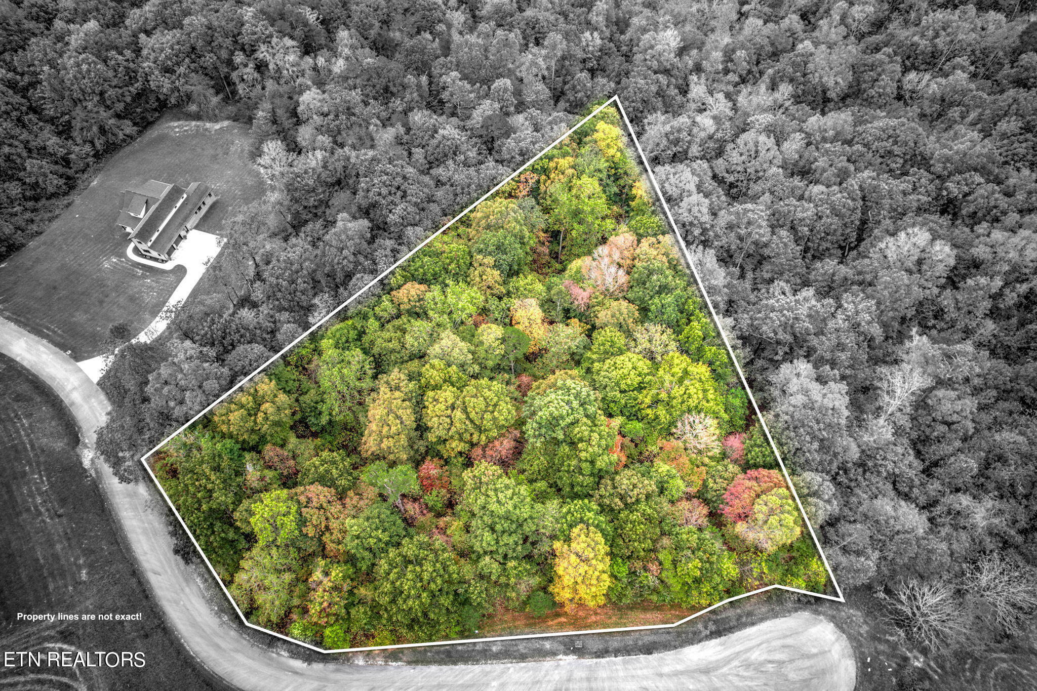 Mica Court Lot 159 New Tazewell TN 37825