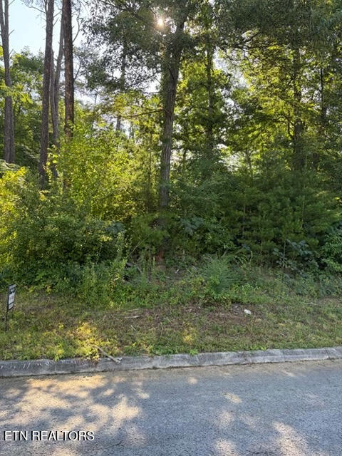 7665 Pennyroyal Drive Knoxville TN 37920