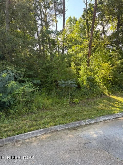 7665 Pennyroyal Drive Knoxville TN 37920
