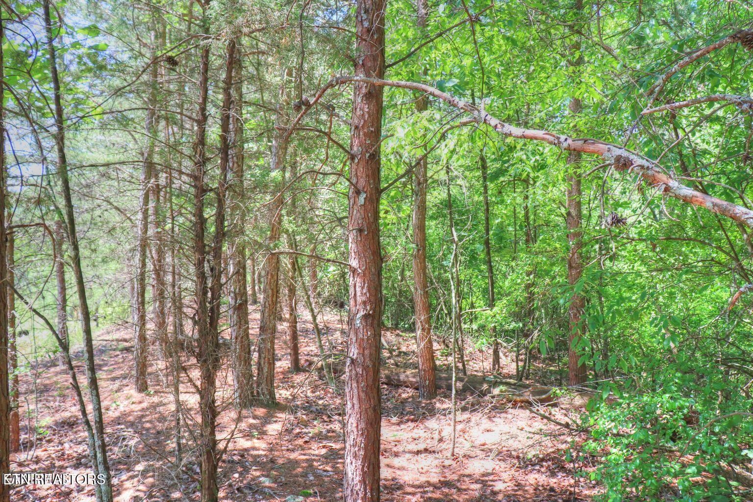 Lot 451 Crystal Springs Road Rockwood TN 37854