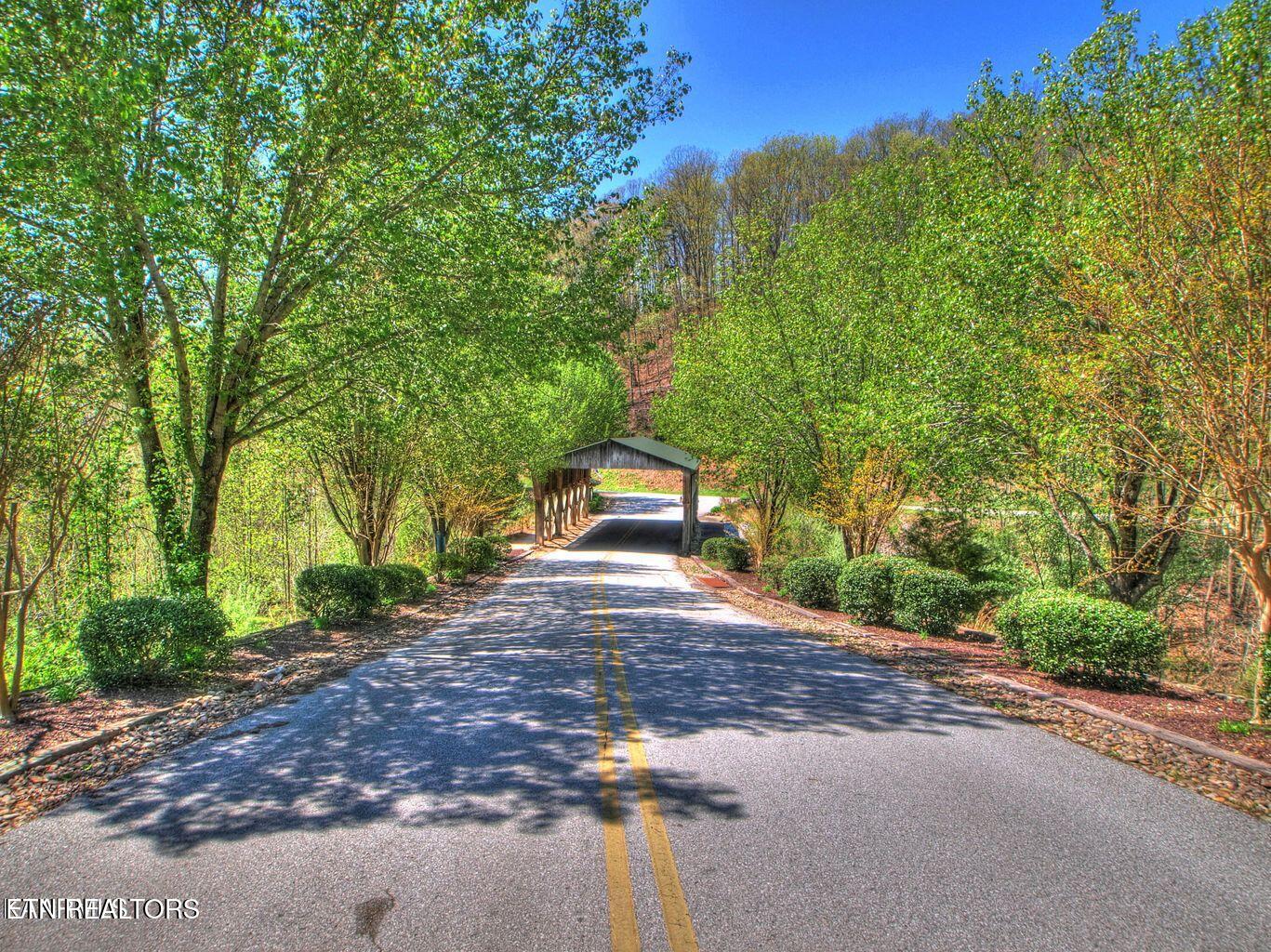 Lot 451 Crystal Springs Road Rockwood TN 37854