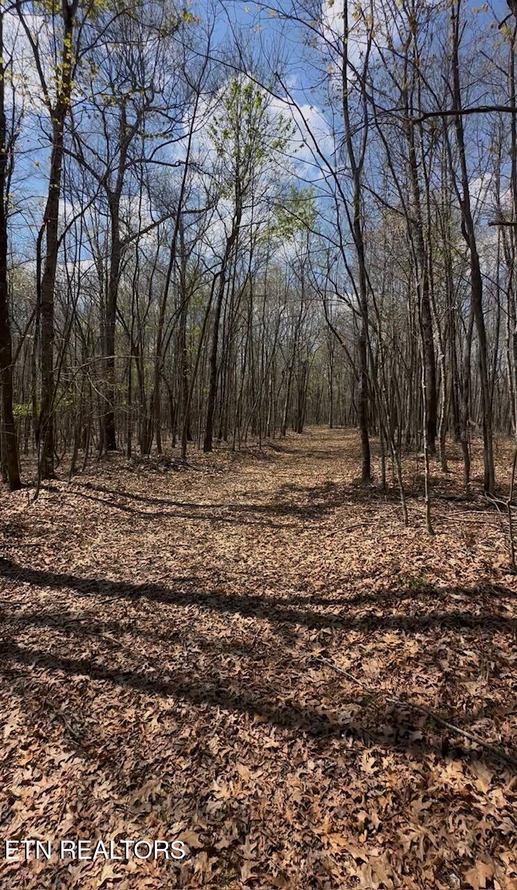 Old Highway 70 Crossville TN 38571
