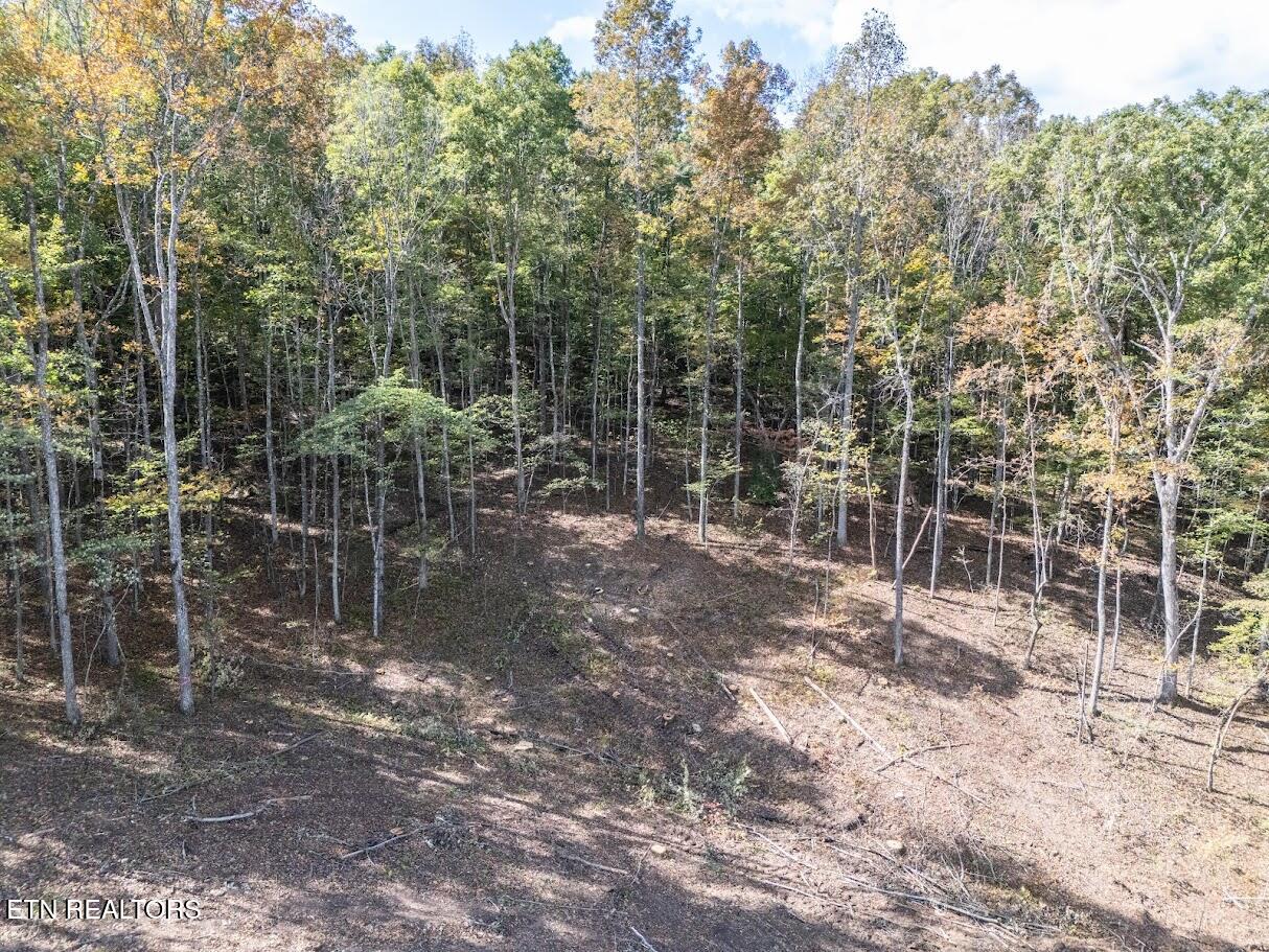 Old Highway 70 Crossville TN 38571