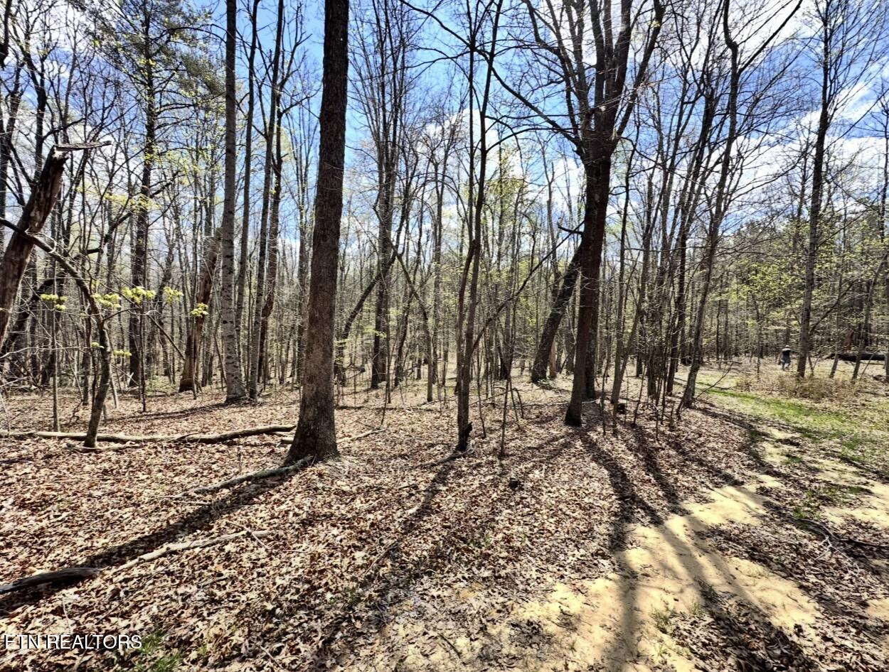 Old Highway 70 Crossville TN 38571