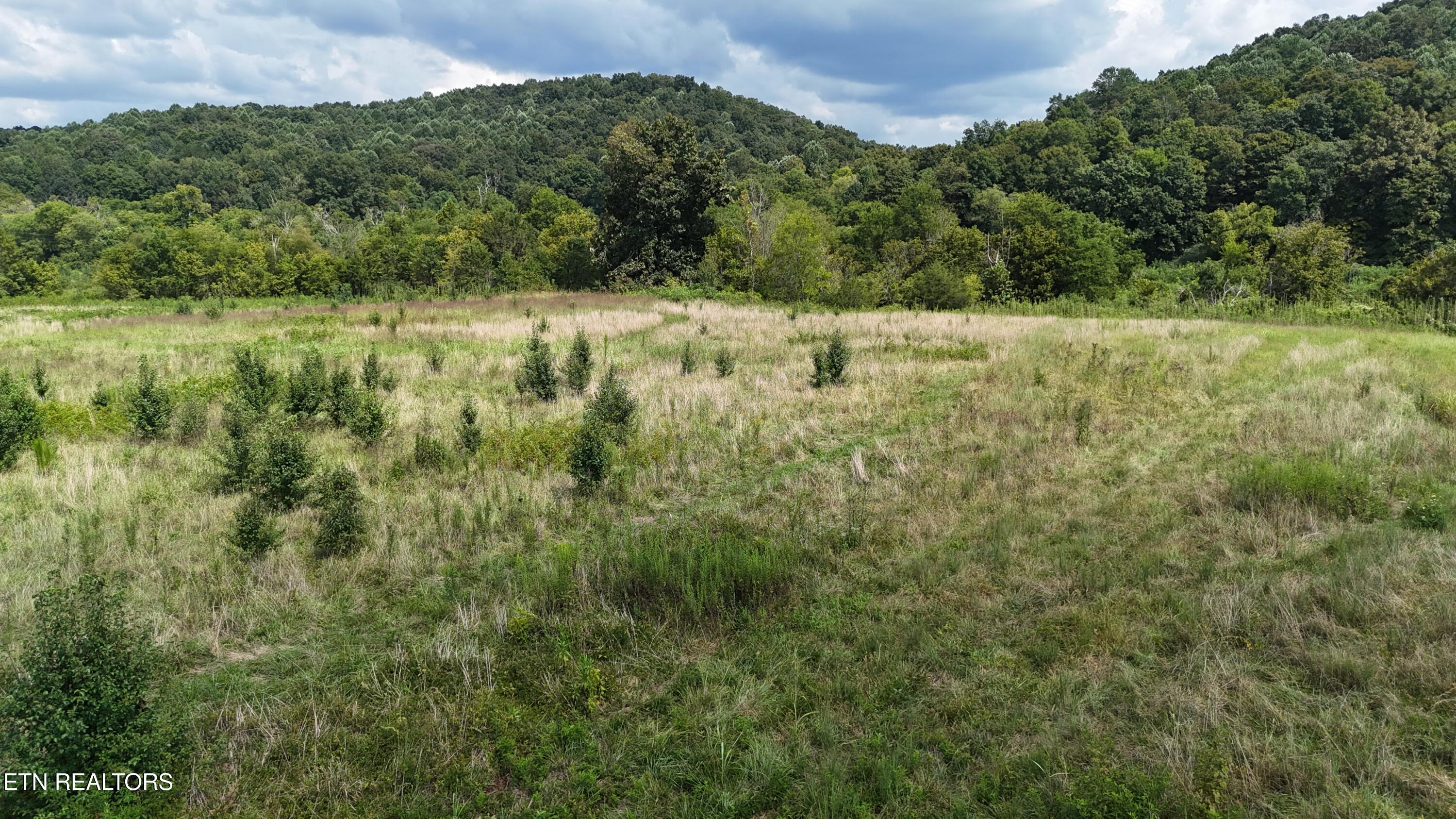 0 County Road 60 Riceville TN 37370