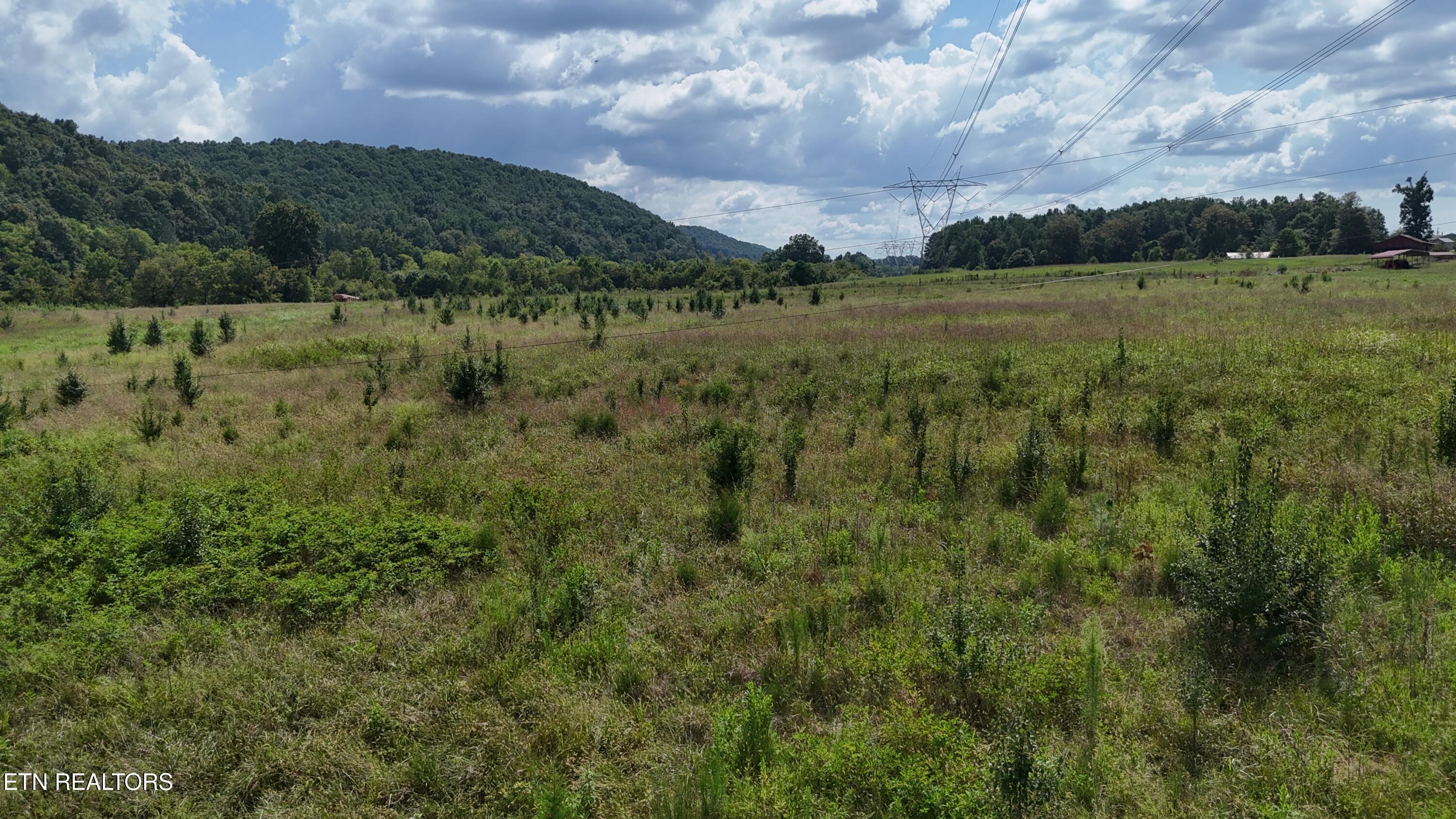 0 County Road 60 Riceville TN 37370