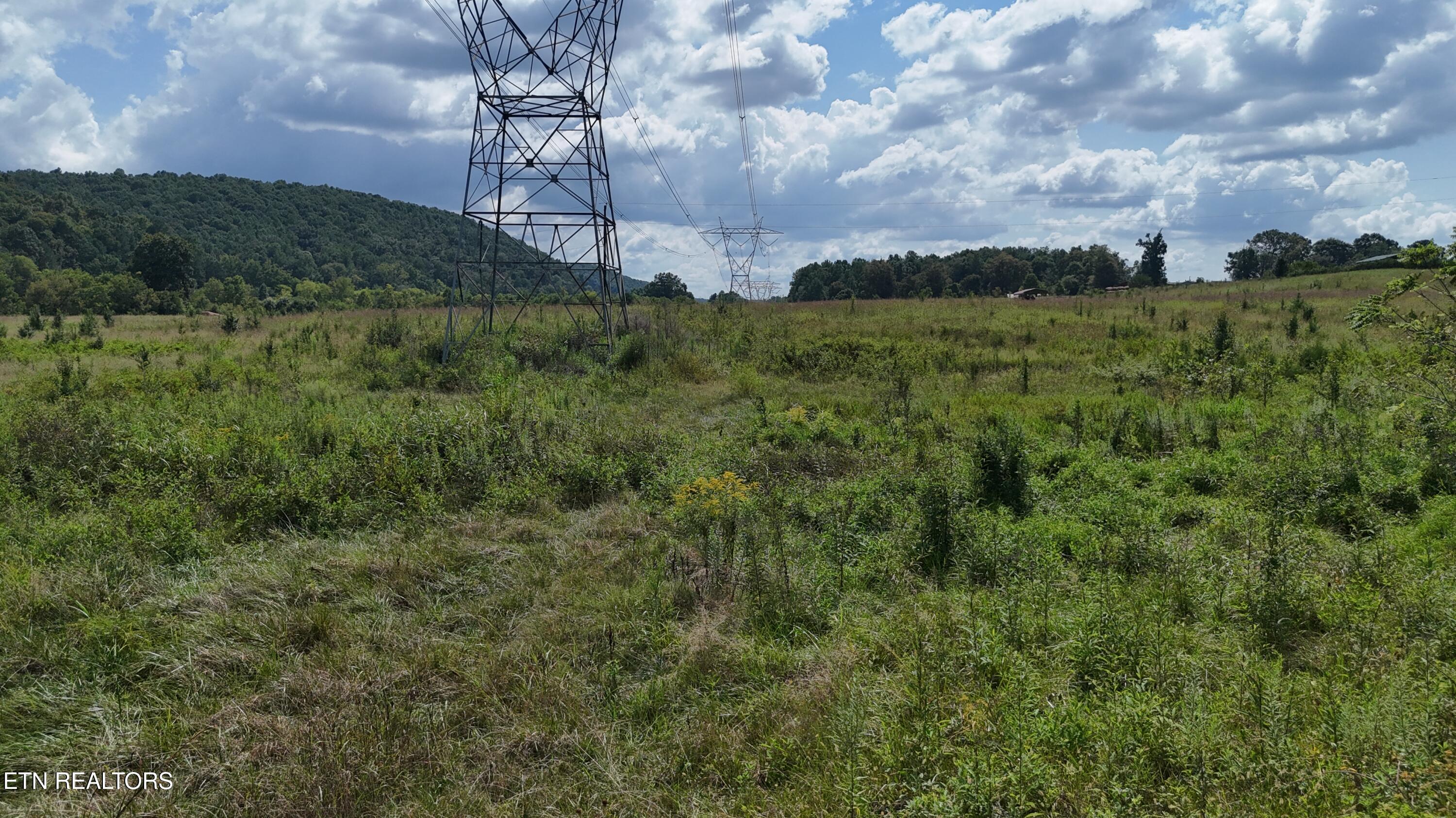 0 County Road 60 Riceville TN 37370