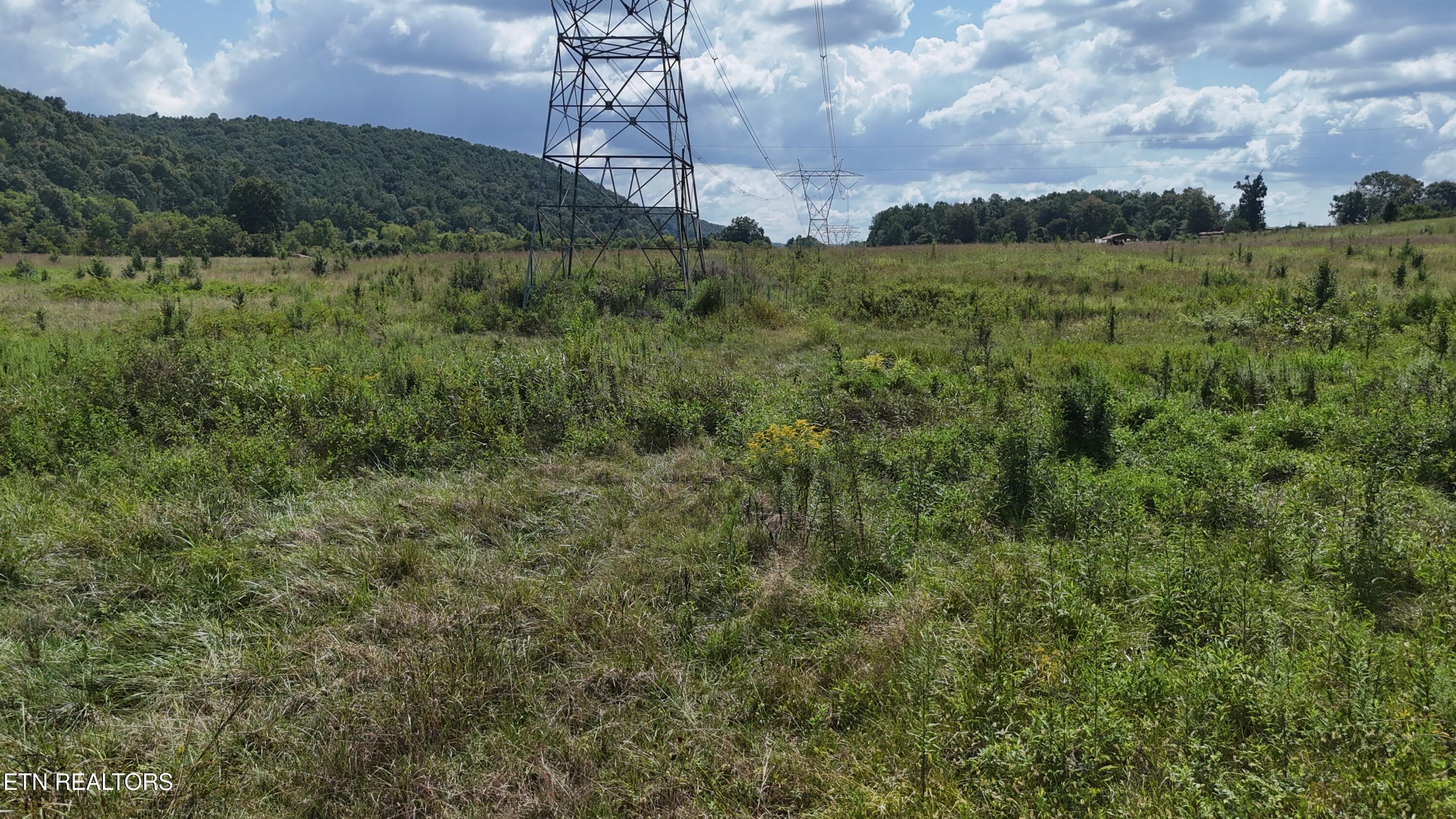 0 County Road 60 Riceville TN 37370