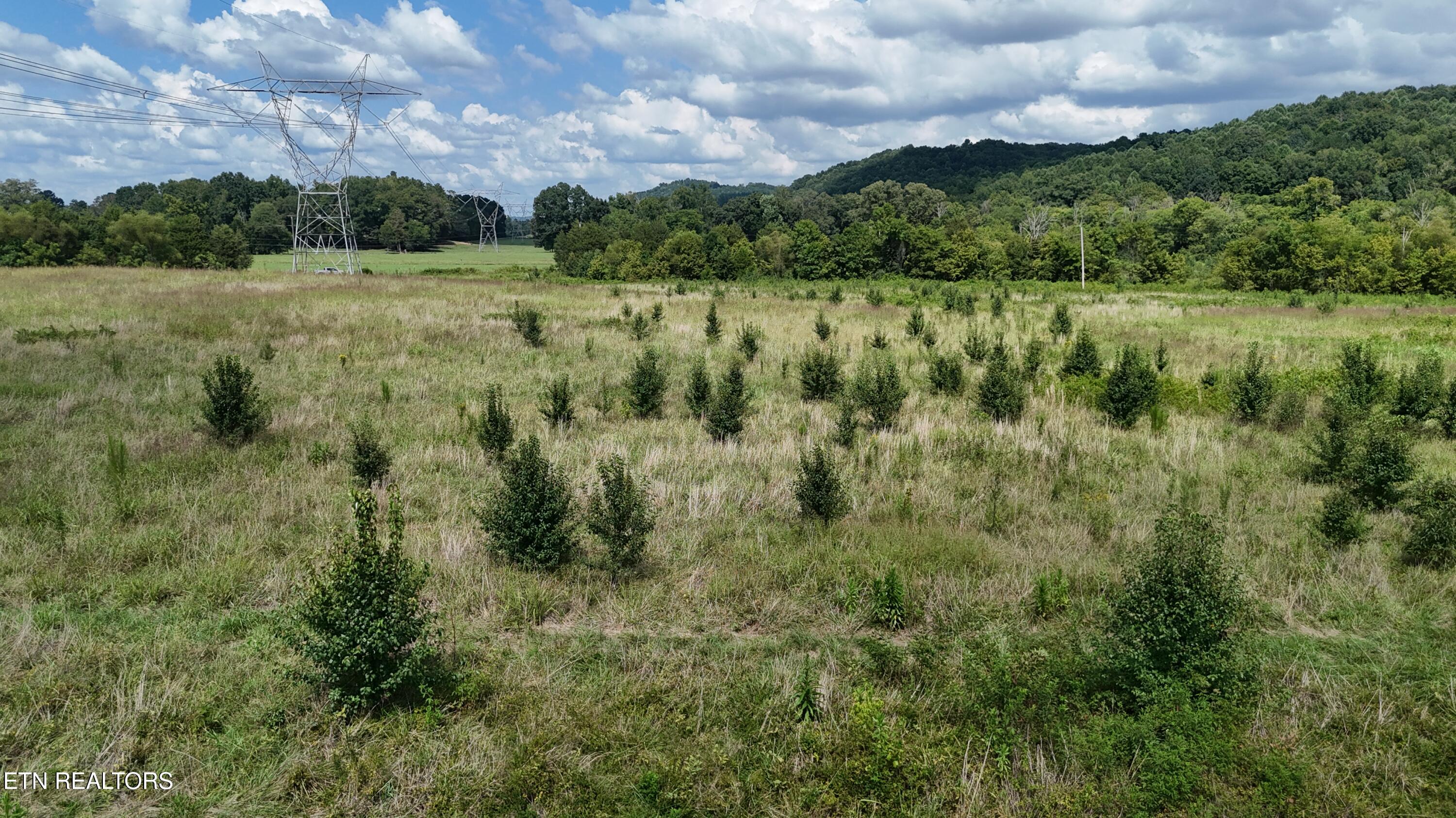 0 County Road 60 Riceville TN 37370
