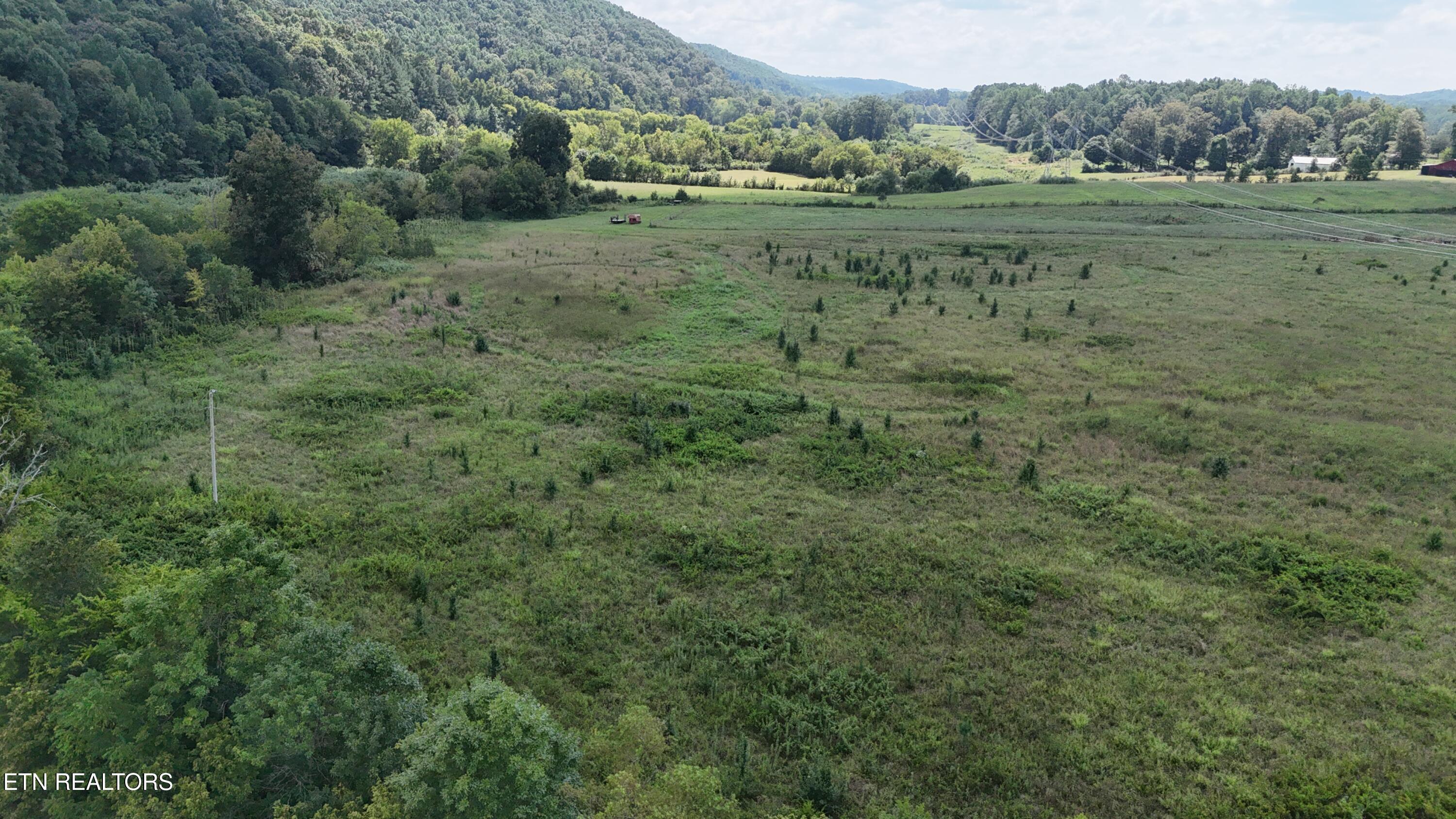 0 County Road 60 Riceville TN 37370