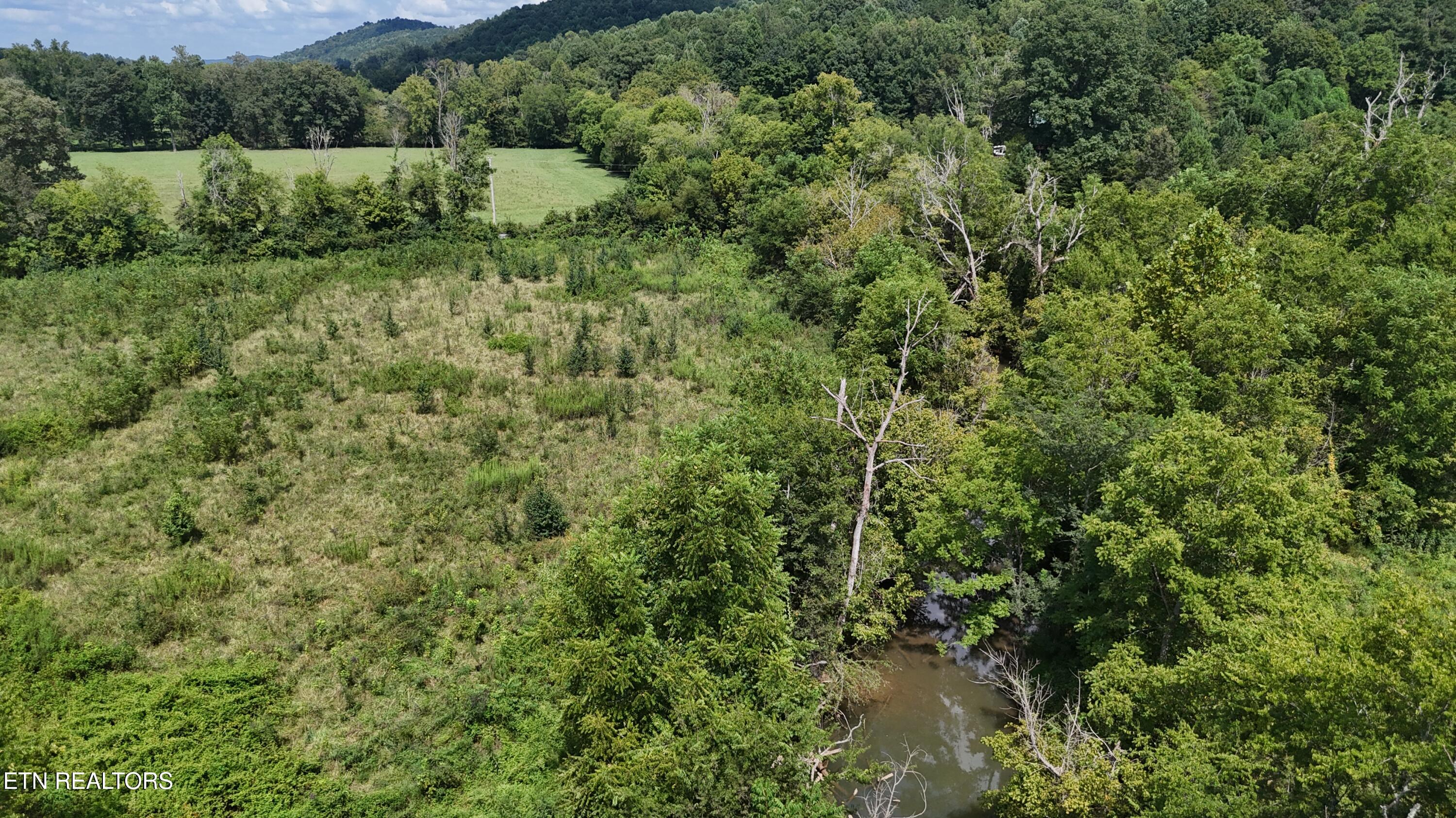 0 County Road 60 Riceville TN 37370