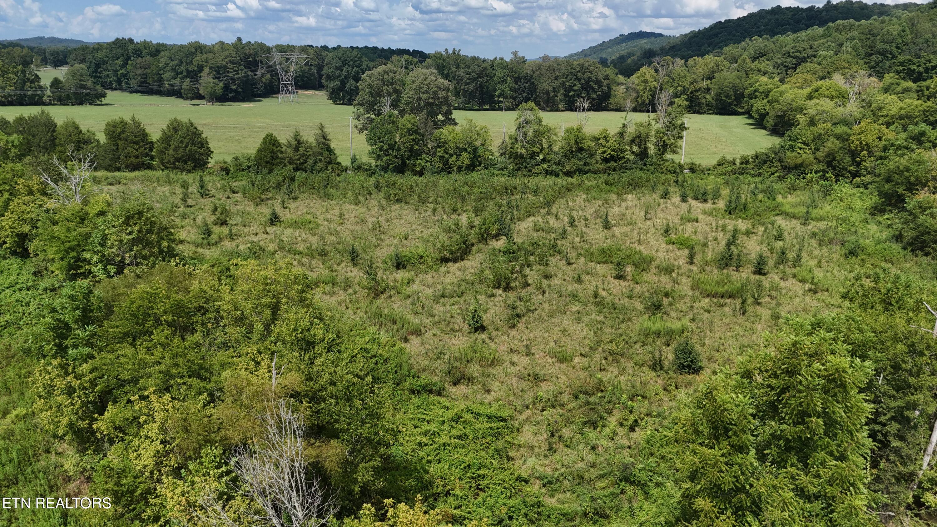 0 County Road 60 Riceville TN 37370