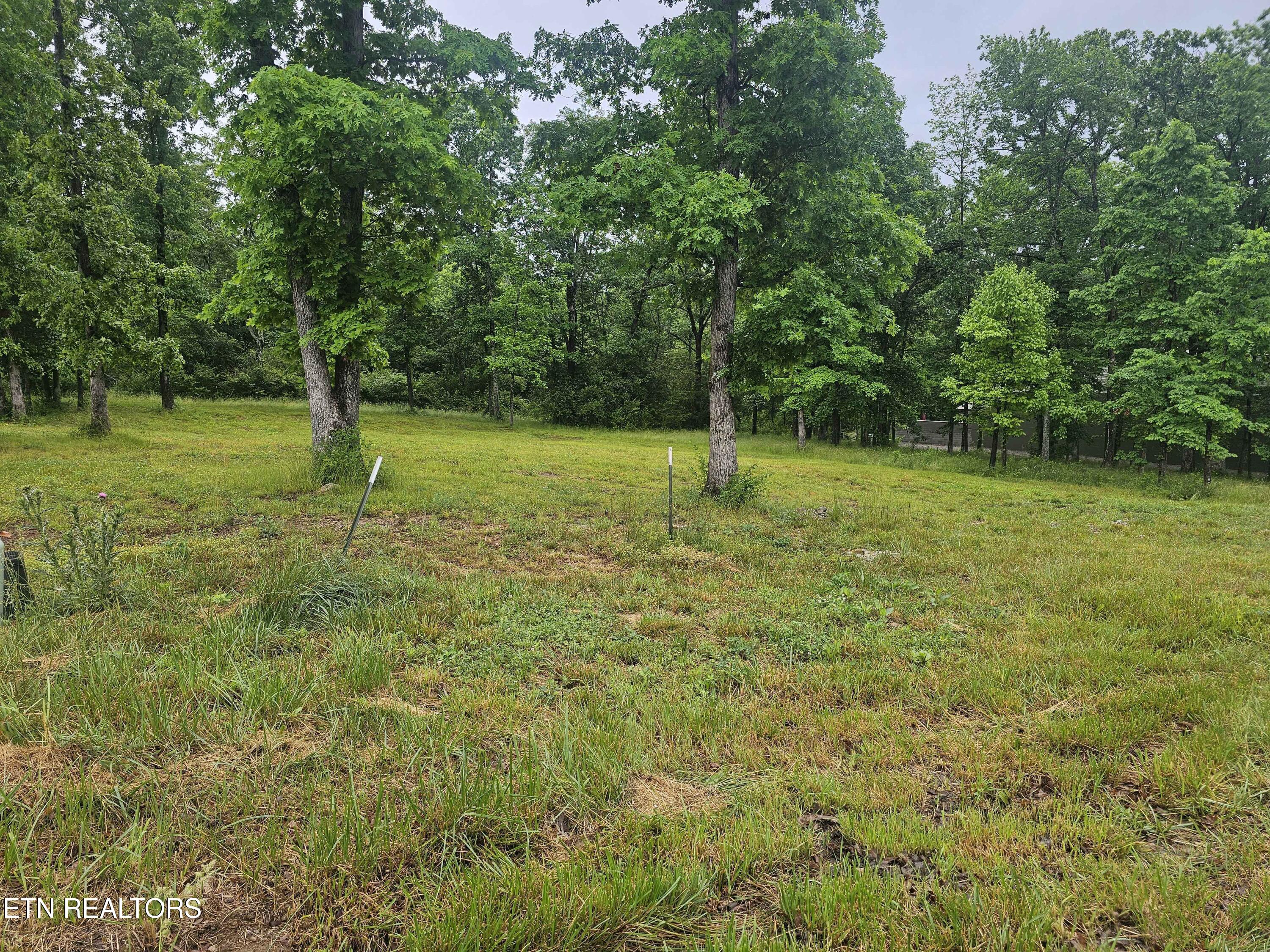 Holly Tree Drive Crossville TN 38555