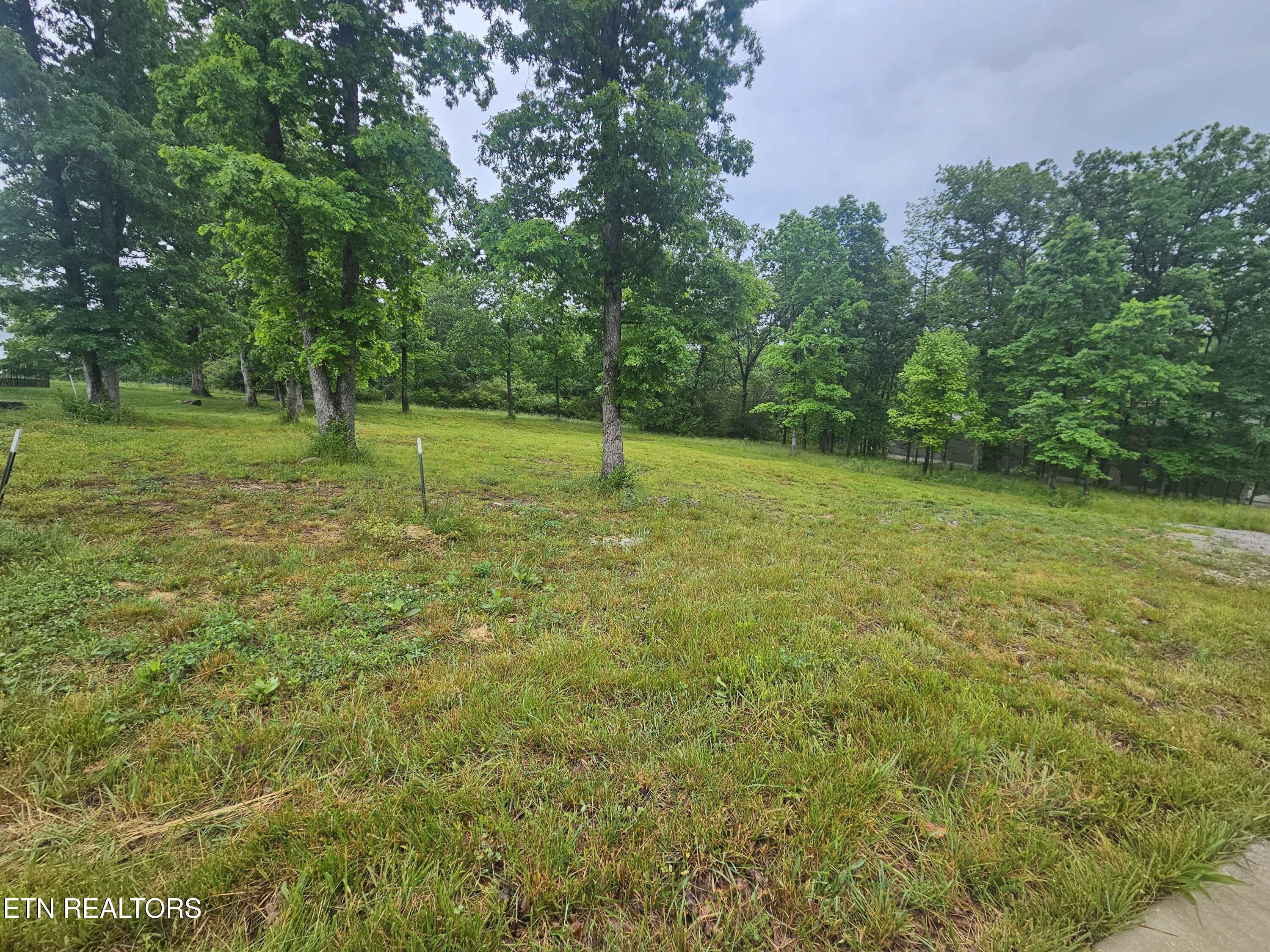 Holly Tree Drive Crossville TN 38555