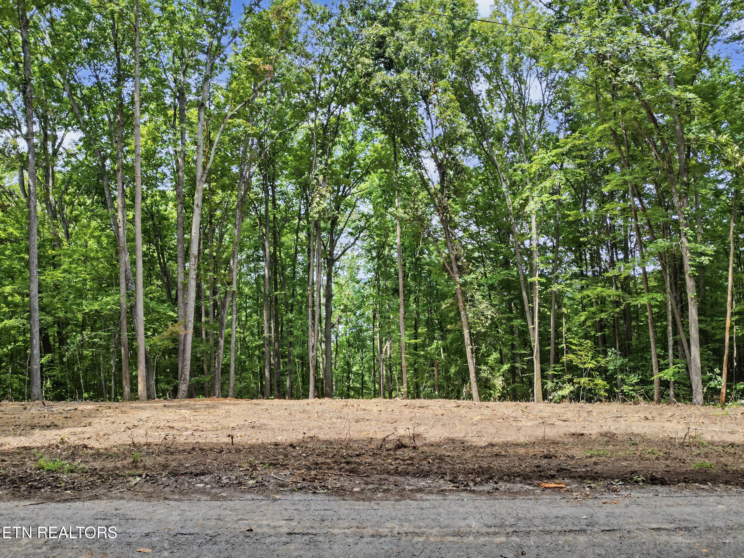 Tumbling Run Estates Maynardville TN 37807