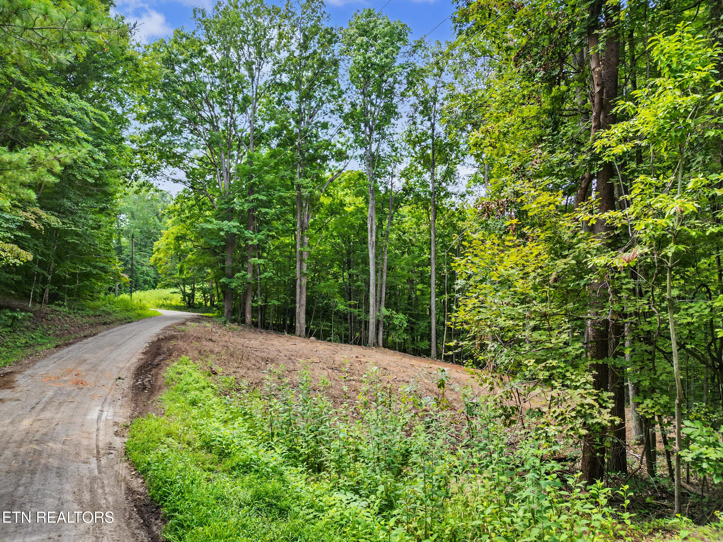 Tumbling Run Estates Maynardville TN 37807