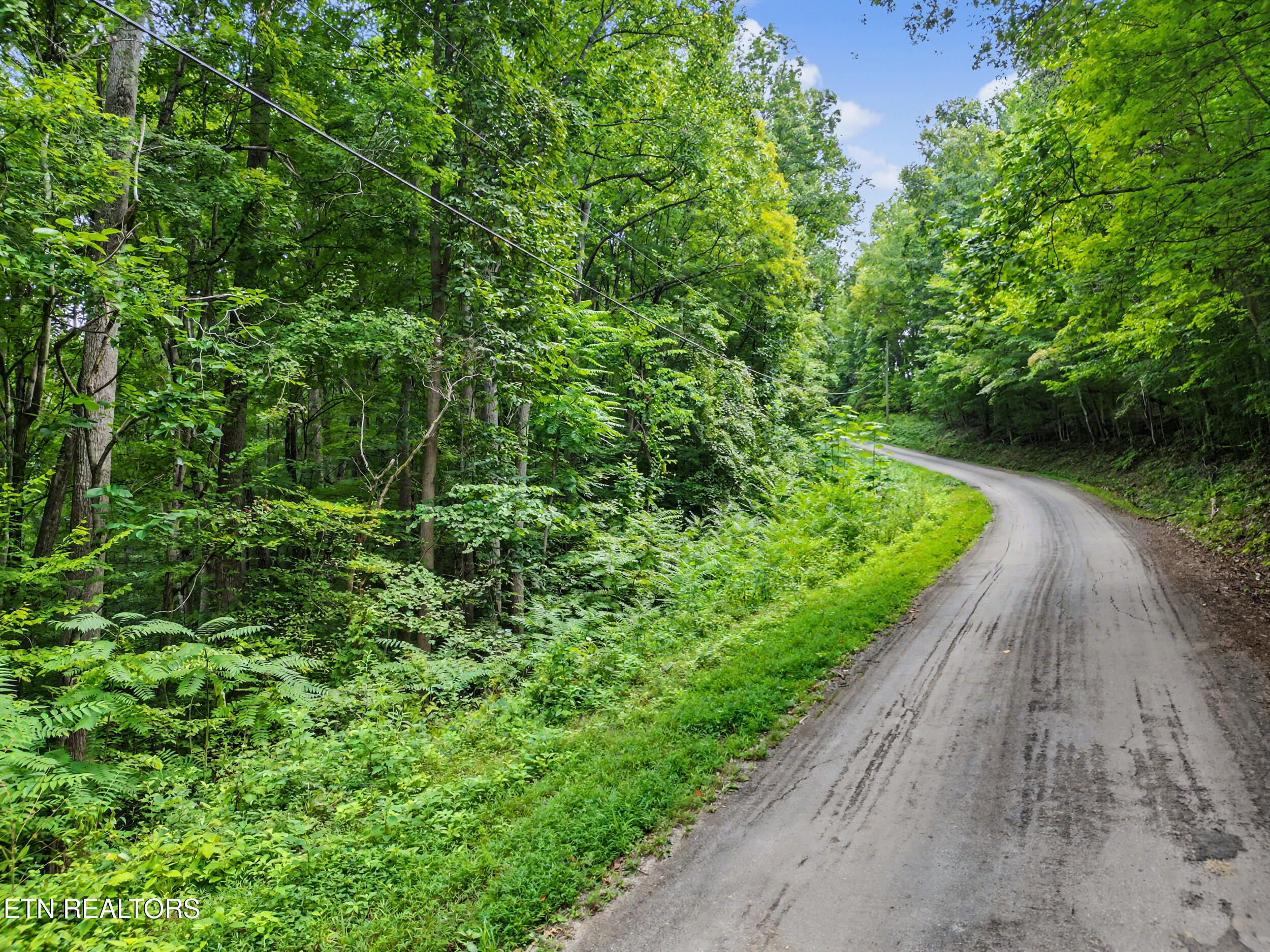 Tumbling Run Estates Maynardville TN 37807