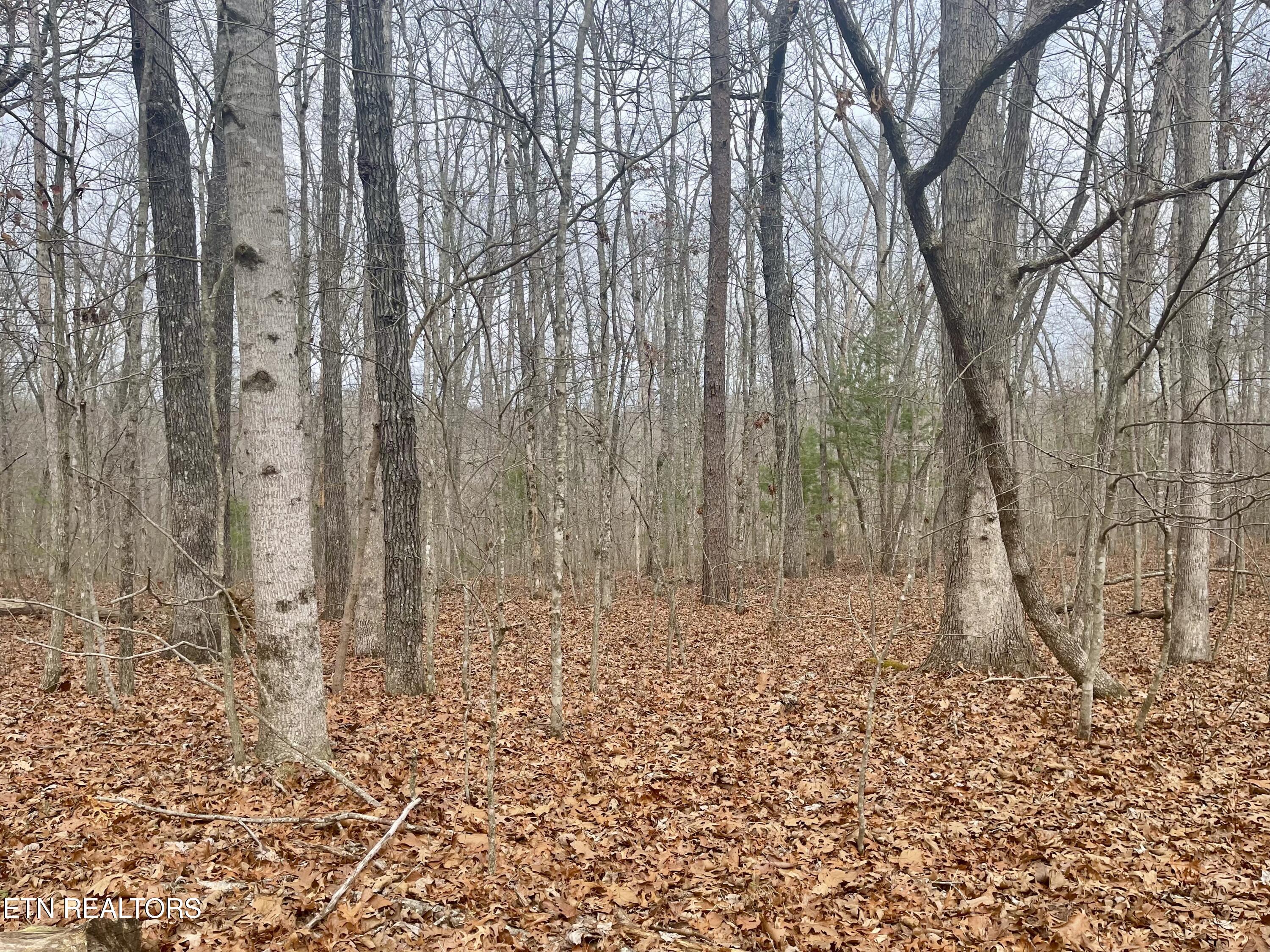 33 Leeds Terrace Crossville TN 38558