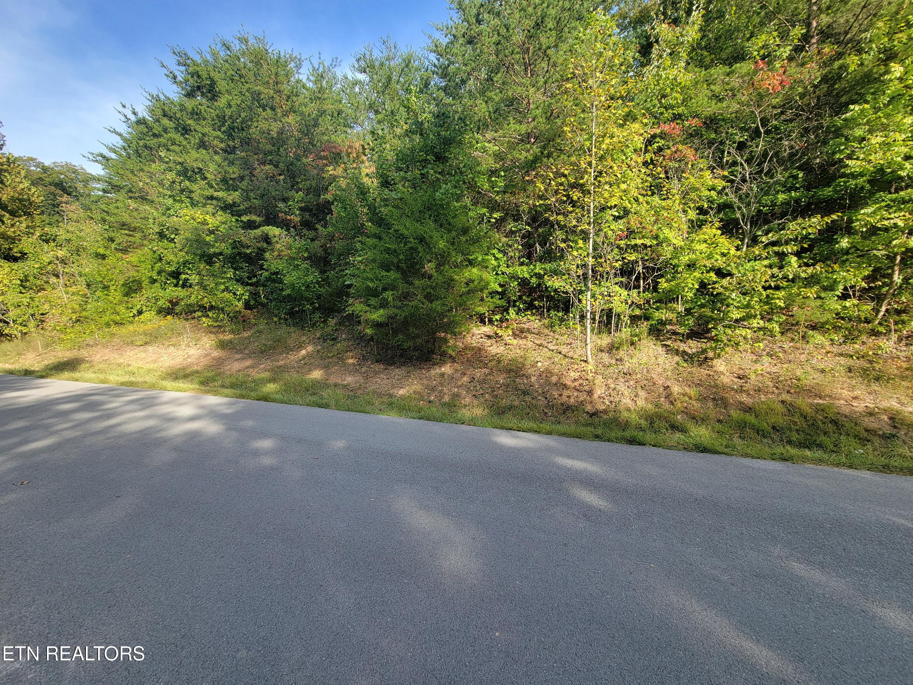 Lot 51 Hickory Point Lane Maynardville TN 37807