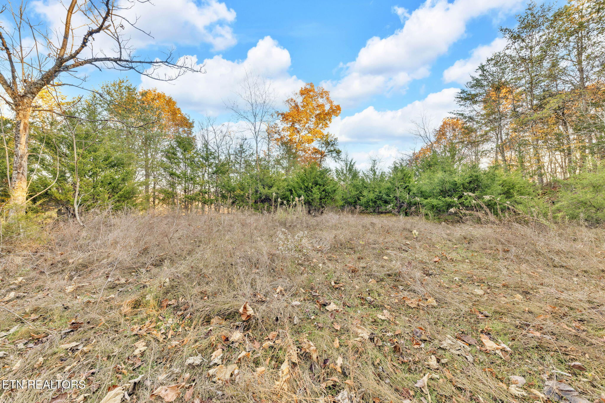 Lot 27 Caywood Road Dandridge TN 37725