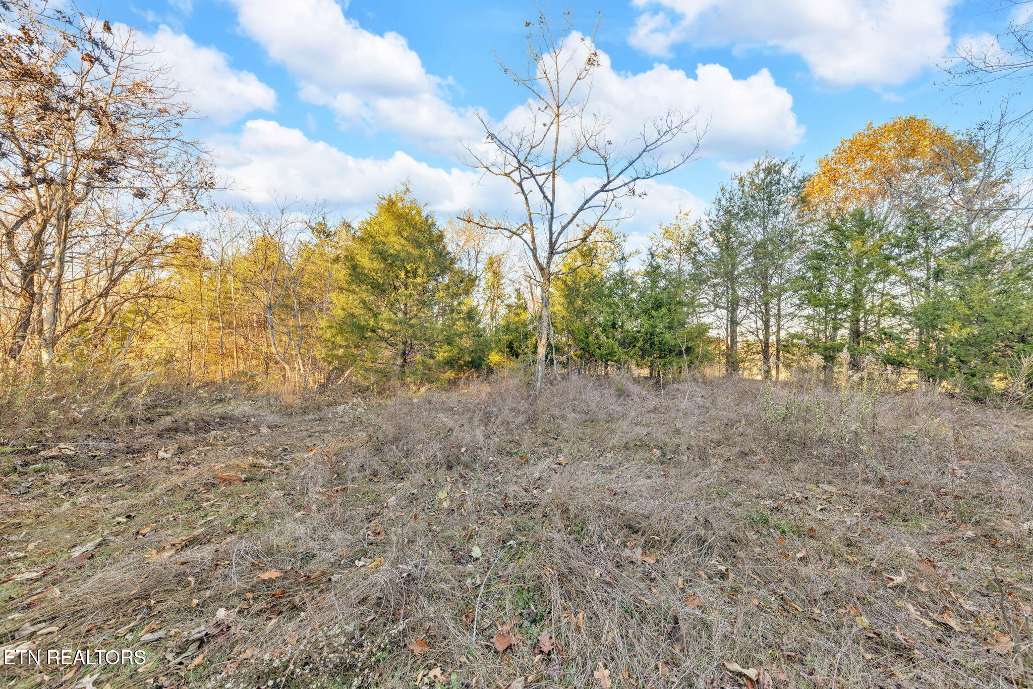 Lot 27 Caywood Road Dandridge TN 37725