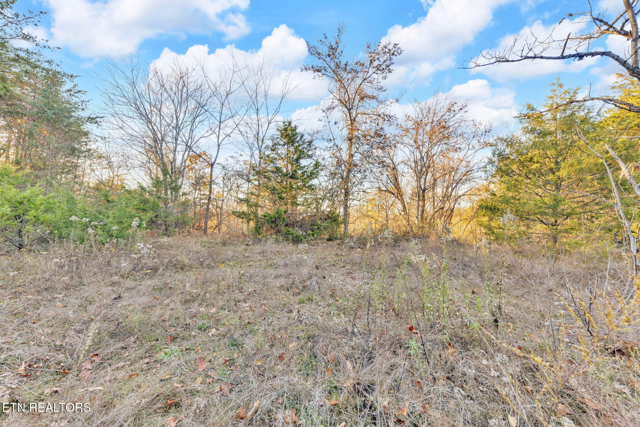 Lot 27 Caywood Road Dandridge TN 37725