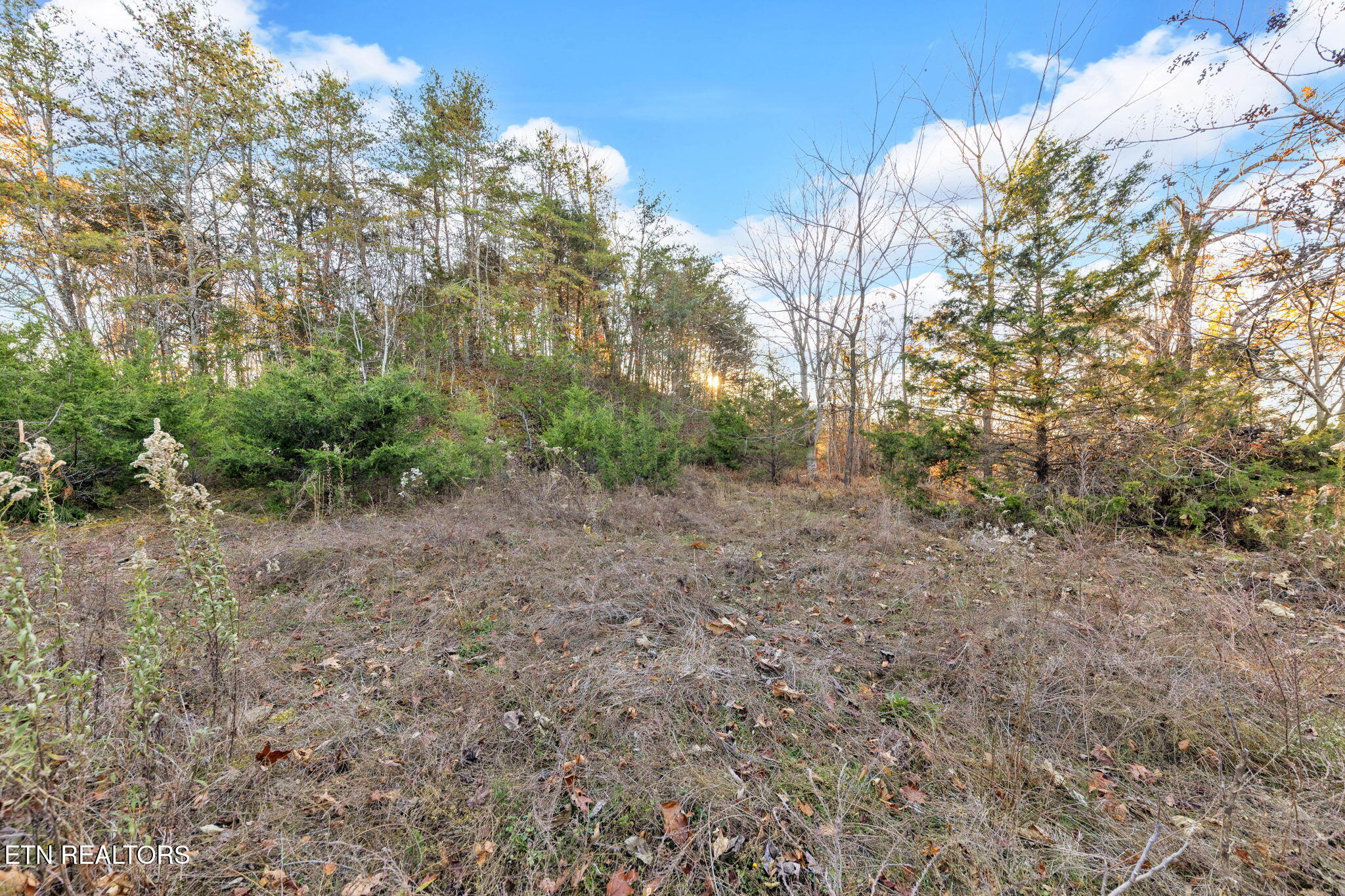 Lot 27 Caywood Road Dandridge TN 37725